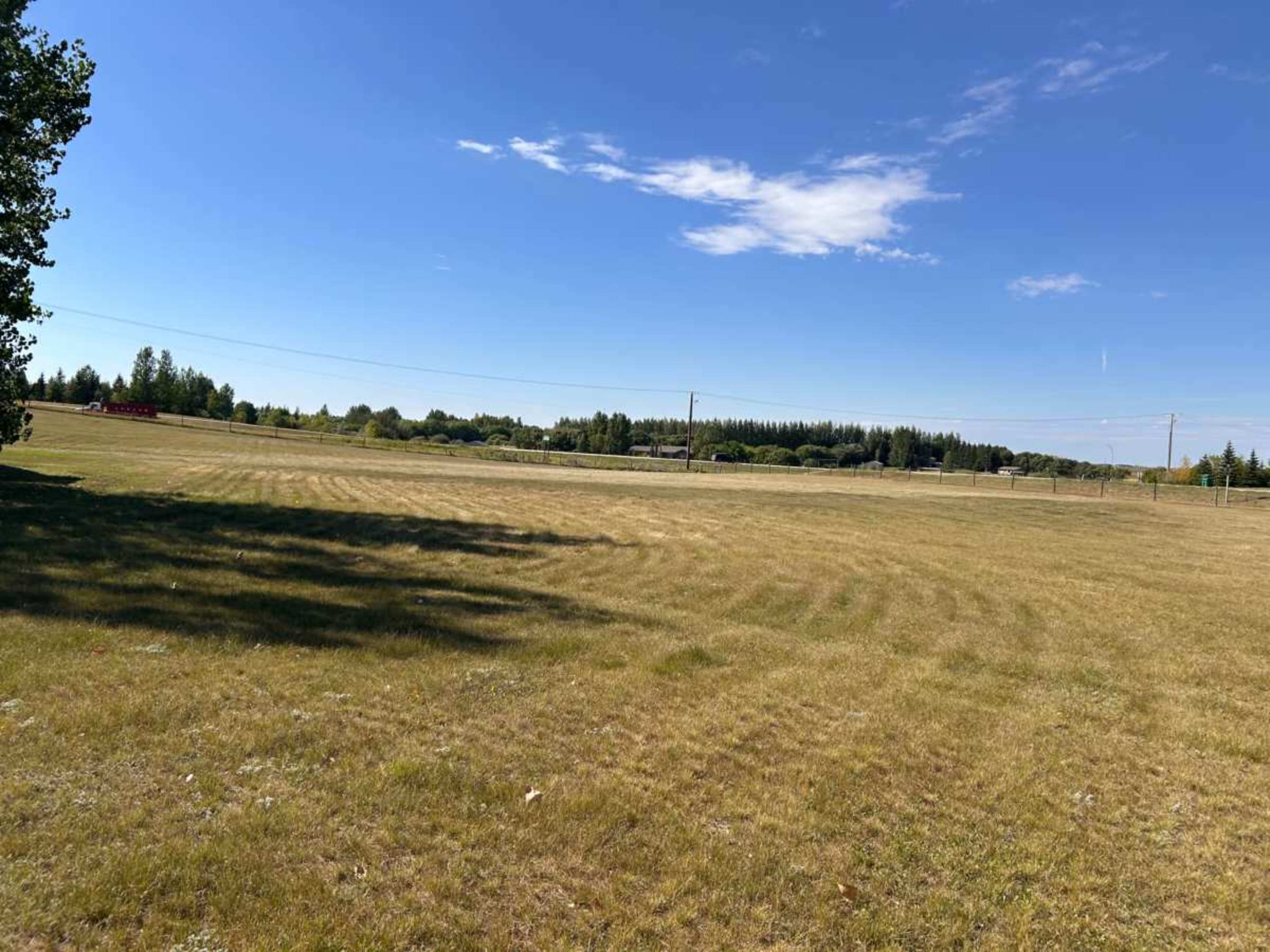 The image shows a wide expanse of grassy land under a clear blue sky, with trees and power lines visible in the background.