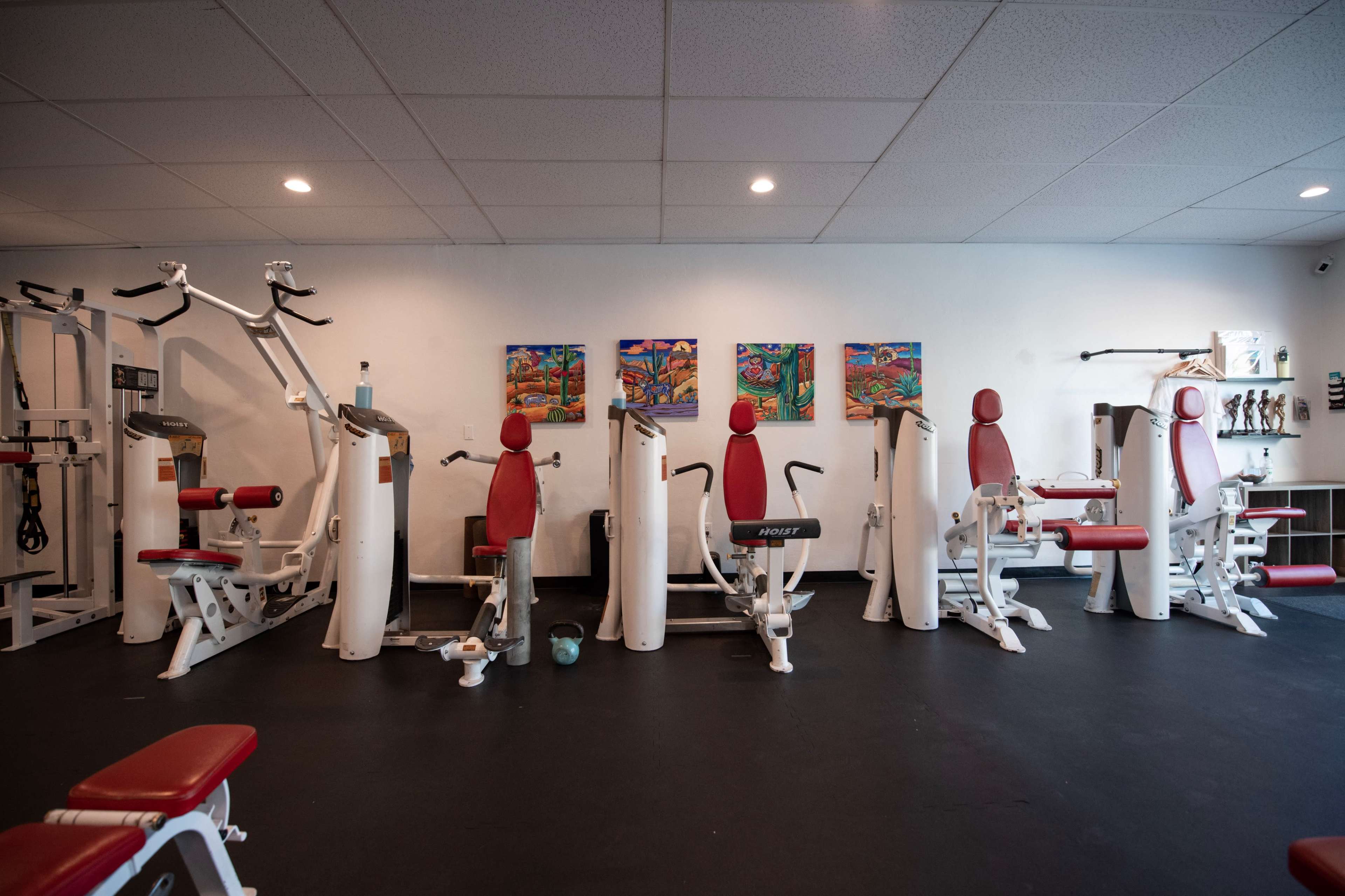 A gym interior with multiple exercise machines arranged against a white wall, featuring colorful artwork above them.