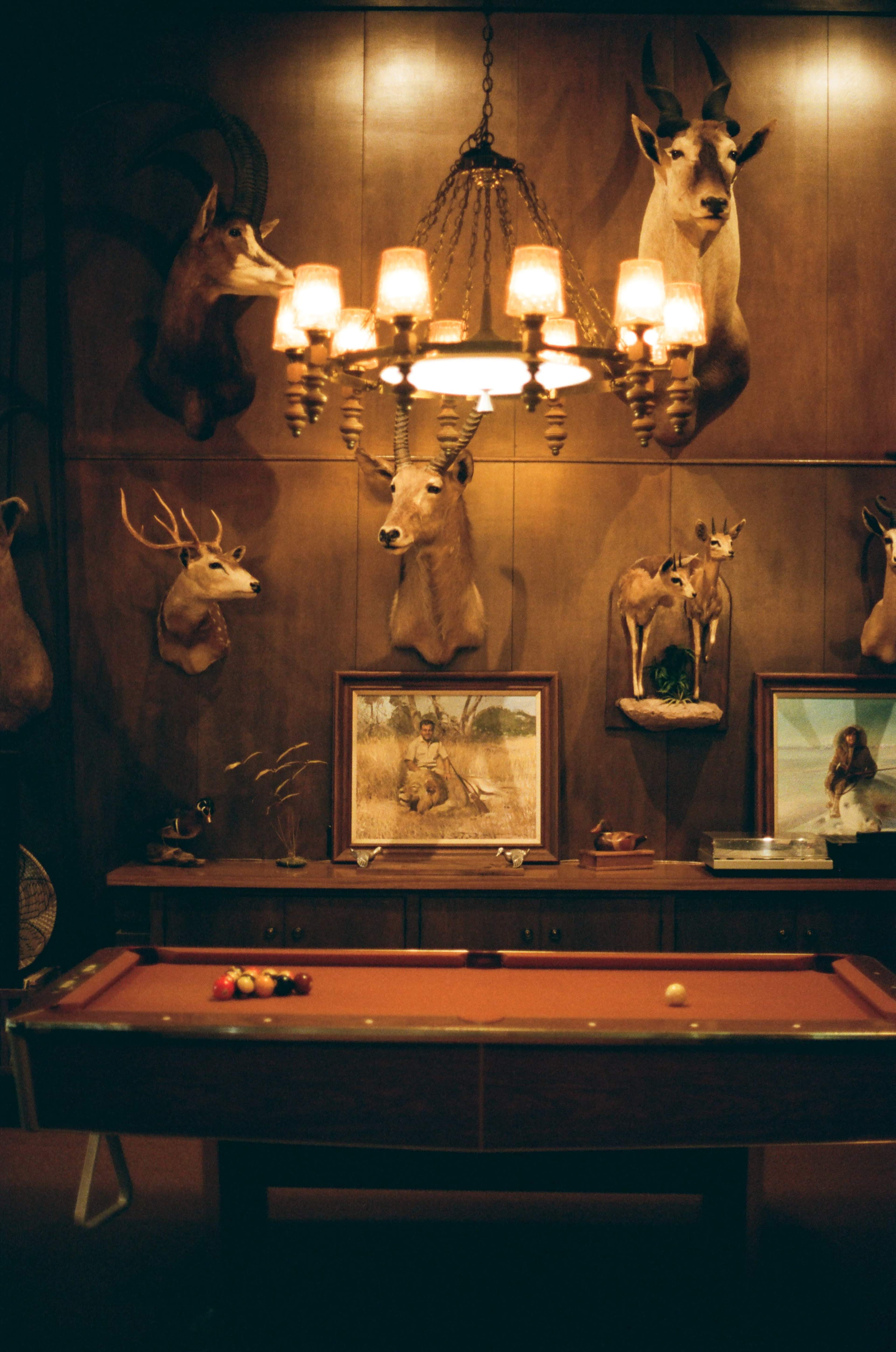 The image shows a pool table in a rustic room adorned with mounted animal heads and framed artwork.