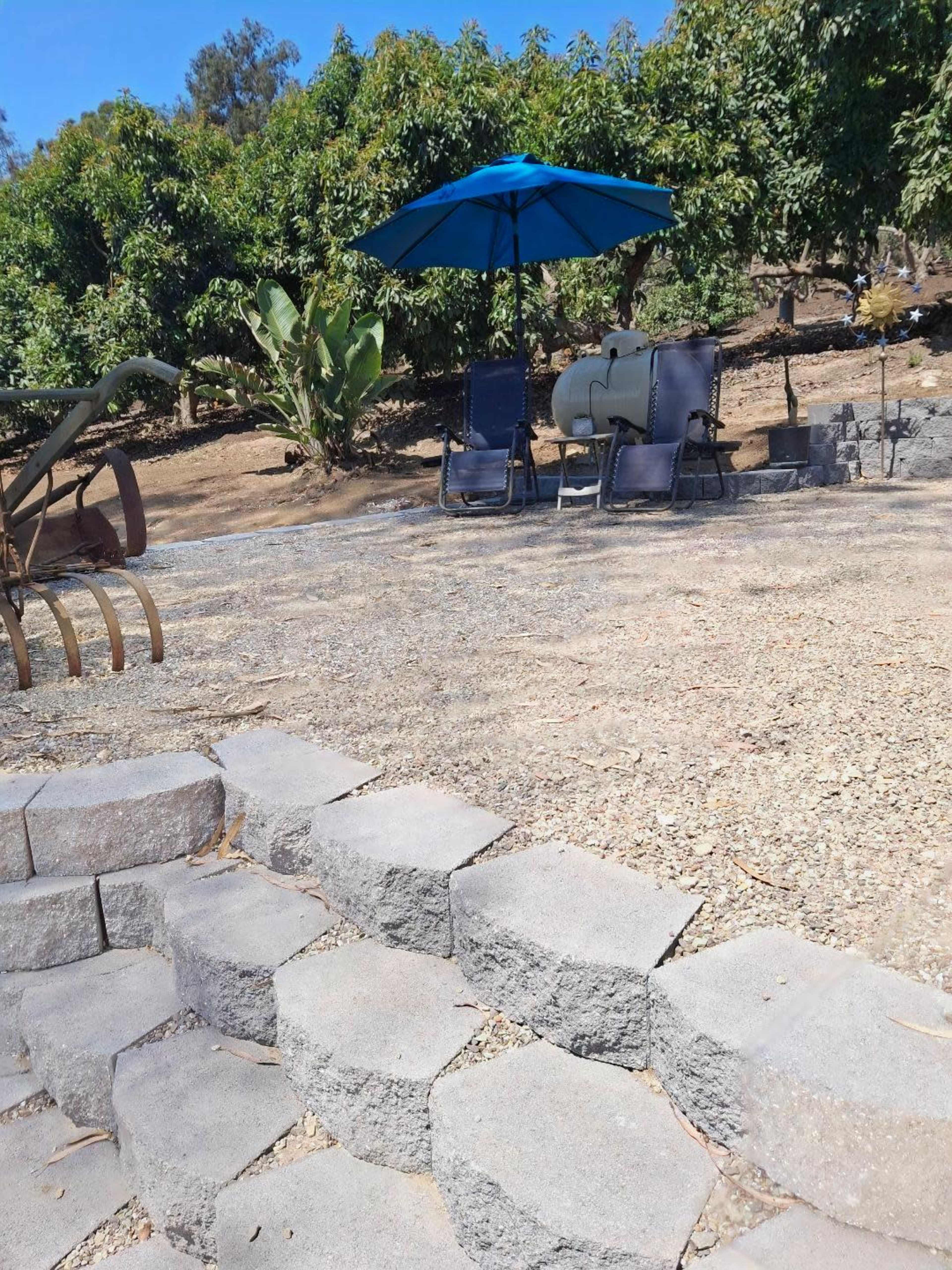 The image shows a shaded seating area under a blue umbrella with chairs, set on a gravel path near fruit trees.
