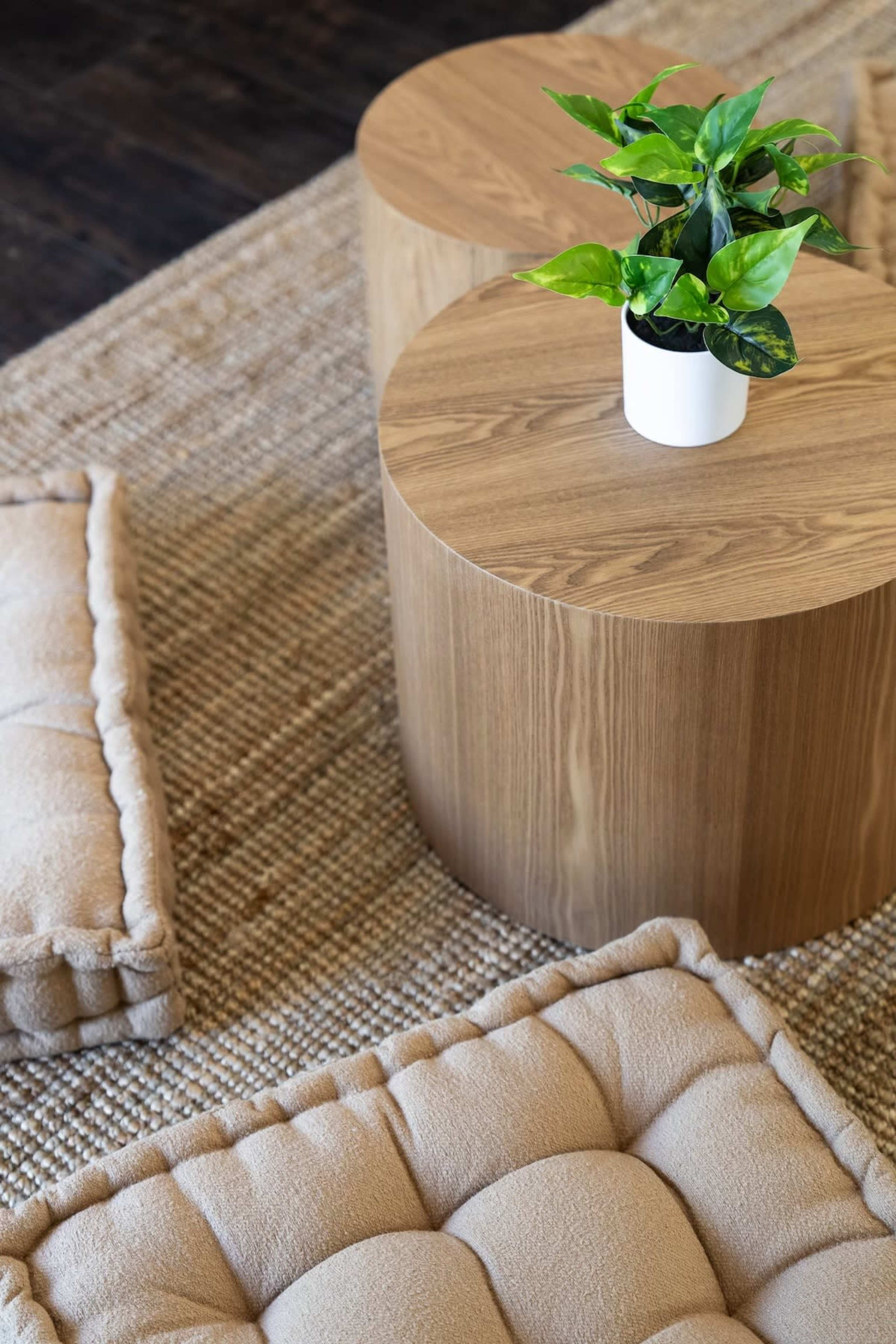 A small wooden table with a potted plant on top sits on a textured rug, accompanied by plush cushions on the floor.