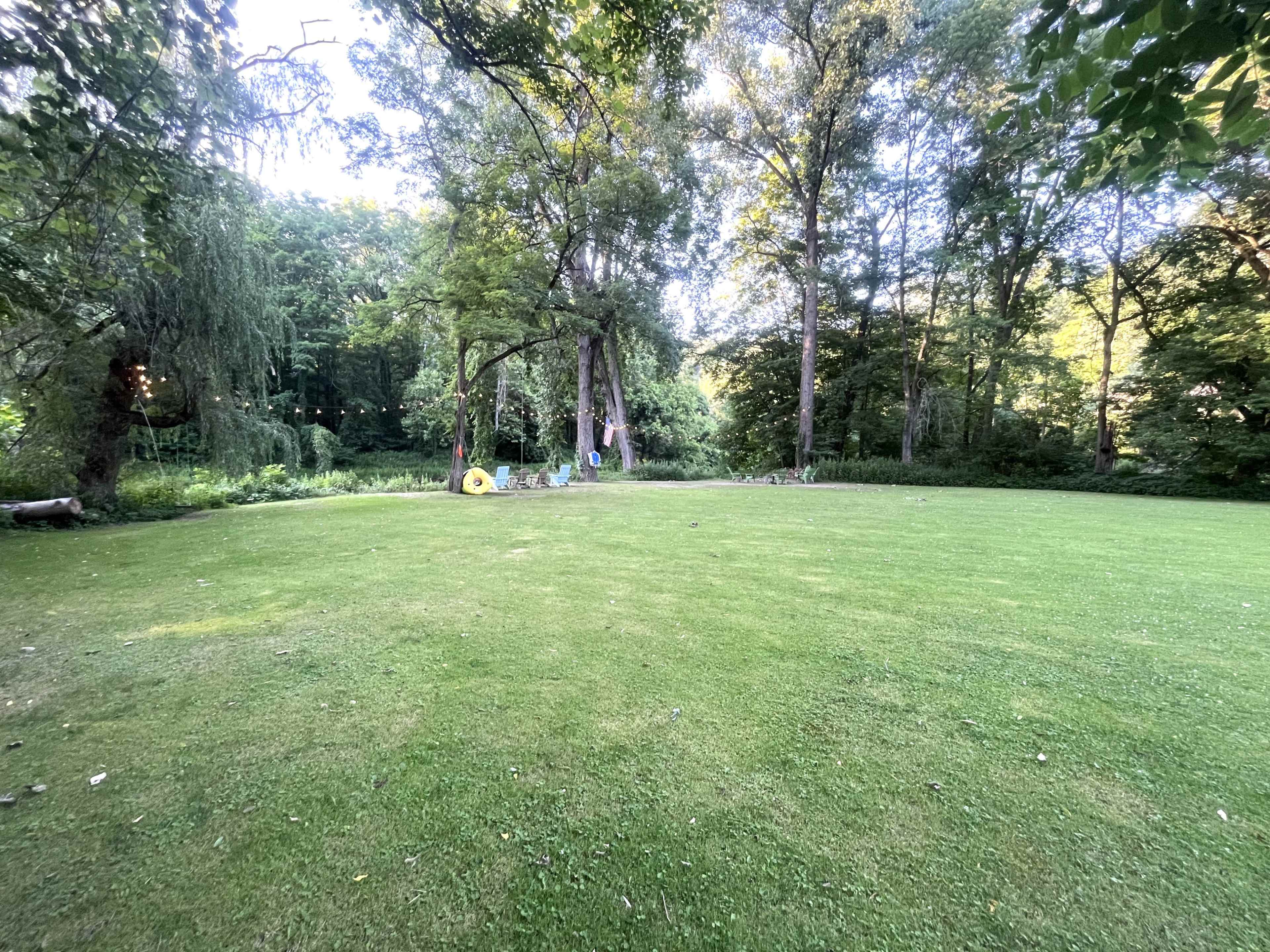 A large, grassy yard is bordered by trees and features a few scattered items in the background.