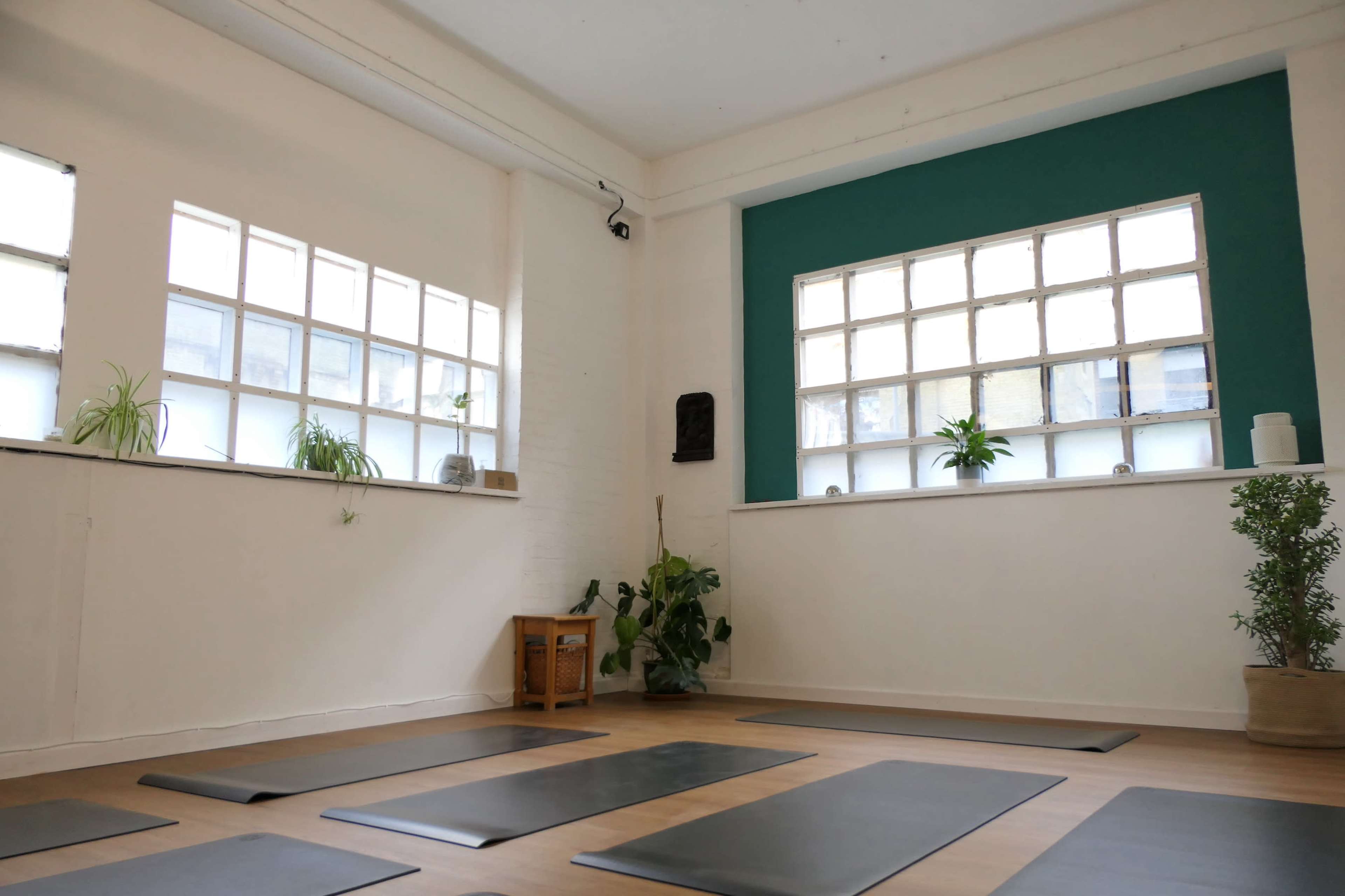 A sparsely decorated yoga studio with several mats arranged on the wooden floor, surrounded by large windows and indoor plants.