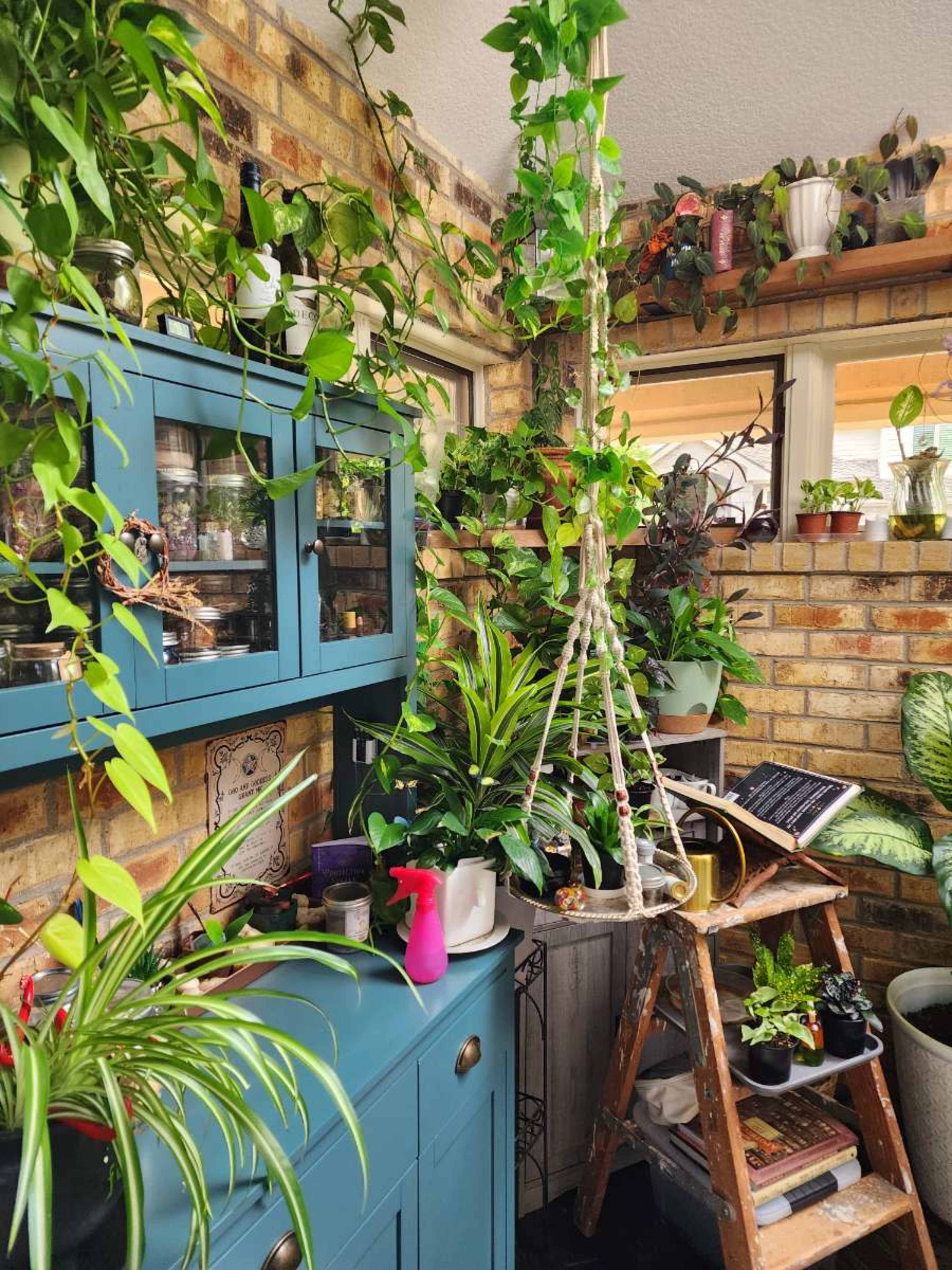 Bright Botanical Sunroom with Skylight + Lush Plant Wall Image in Centennial, Centennial, CO