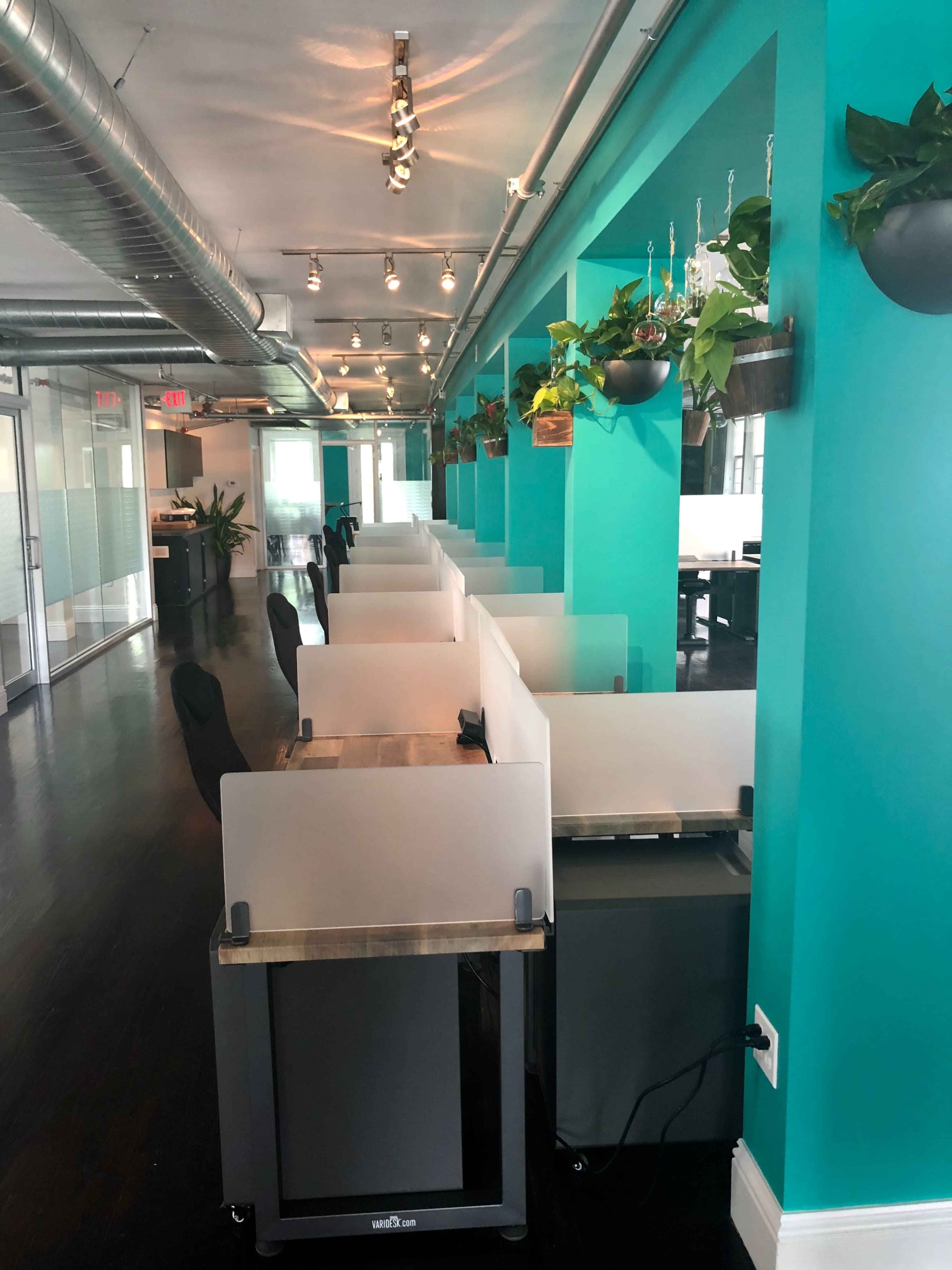The image shows a row of workstations with transparent dividers in an office space with teal walls and hanging plants.