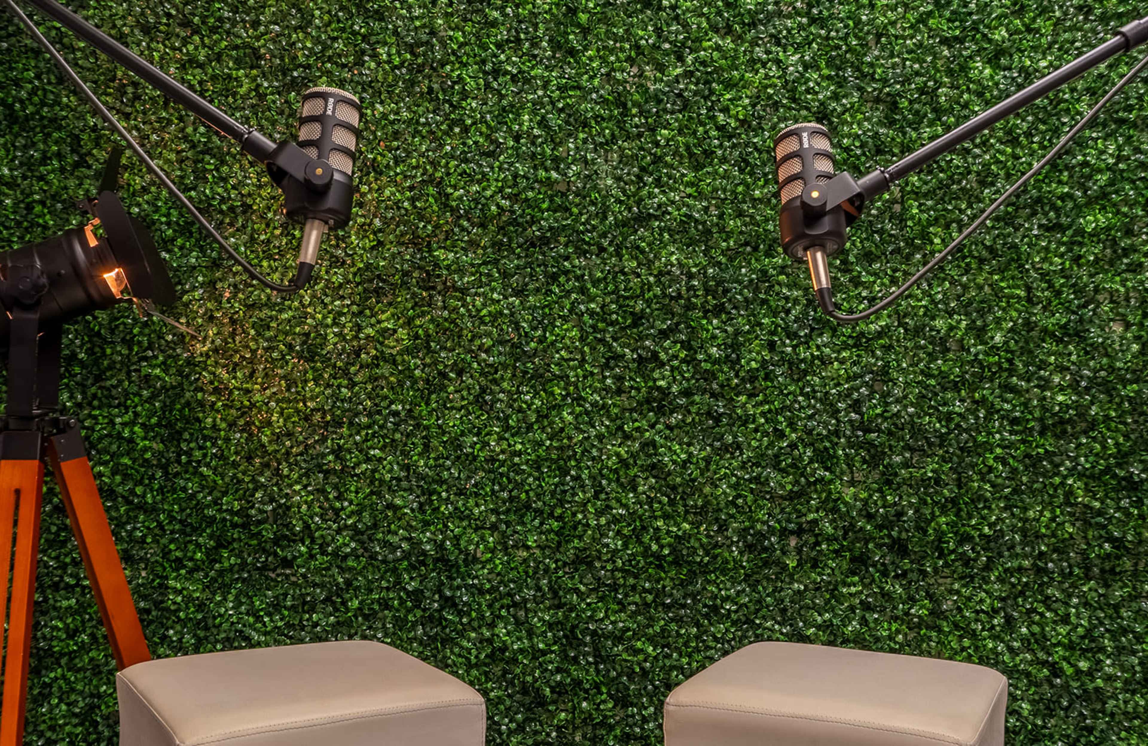 The image features two microphones on adjustable stands and two light-colored stools set against a backdrop of green artificial foliage.