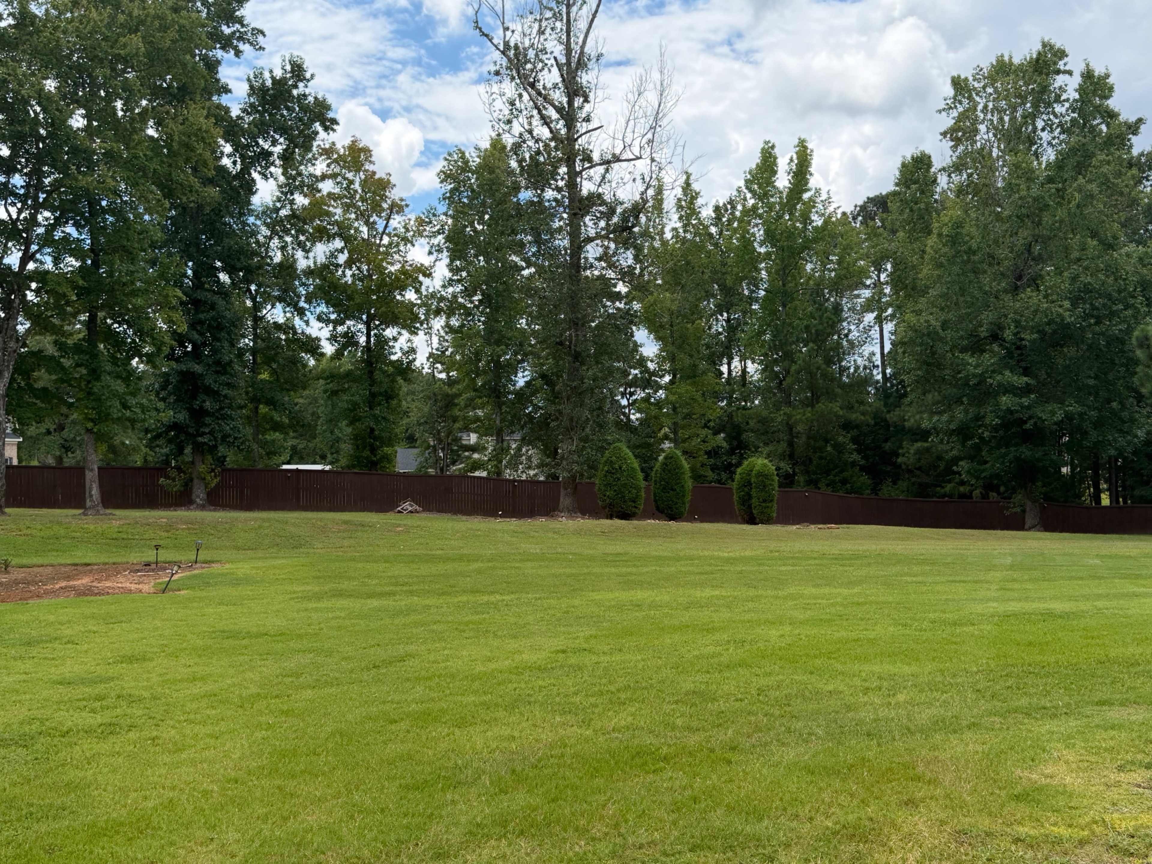 The image shows a spacious grassy yard lined with trees and a wooden fence in the background.
