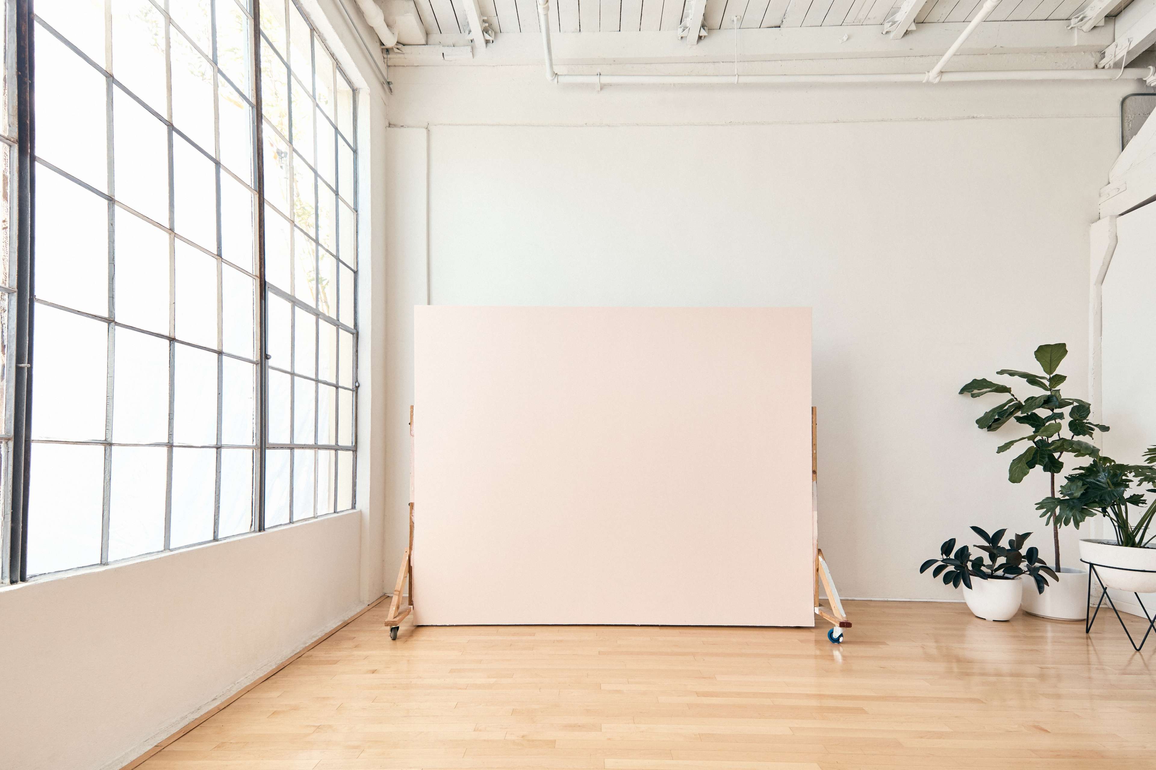 A large pink canvas is set up on a wooden easel in a bright, spacious room with large windows and potted plants.