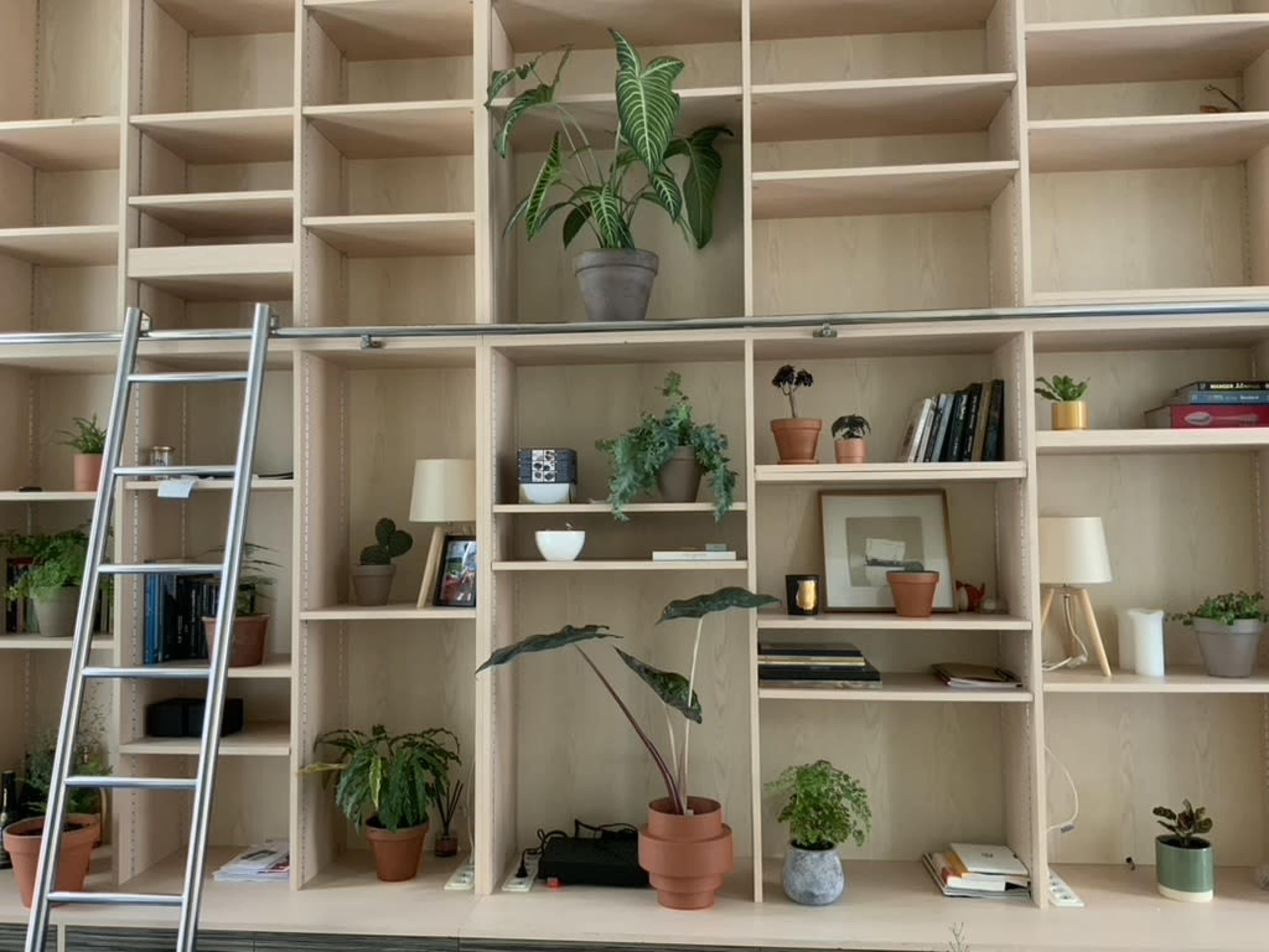A wooden shelving unit is filled with books, decorative items, and various potted plants.
