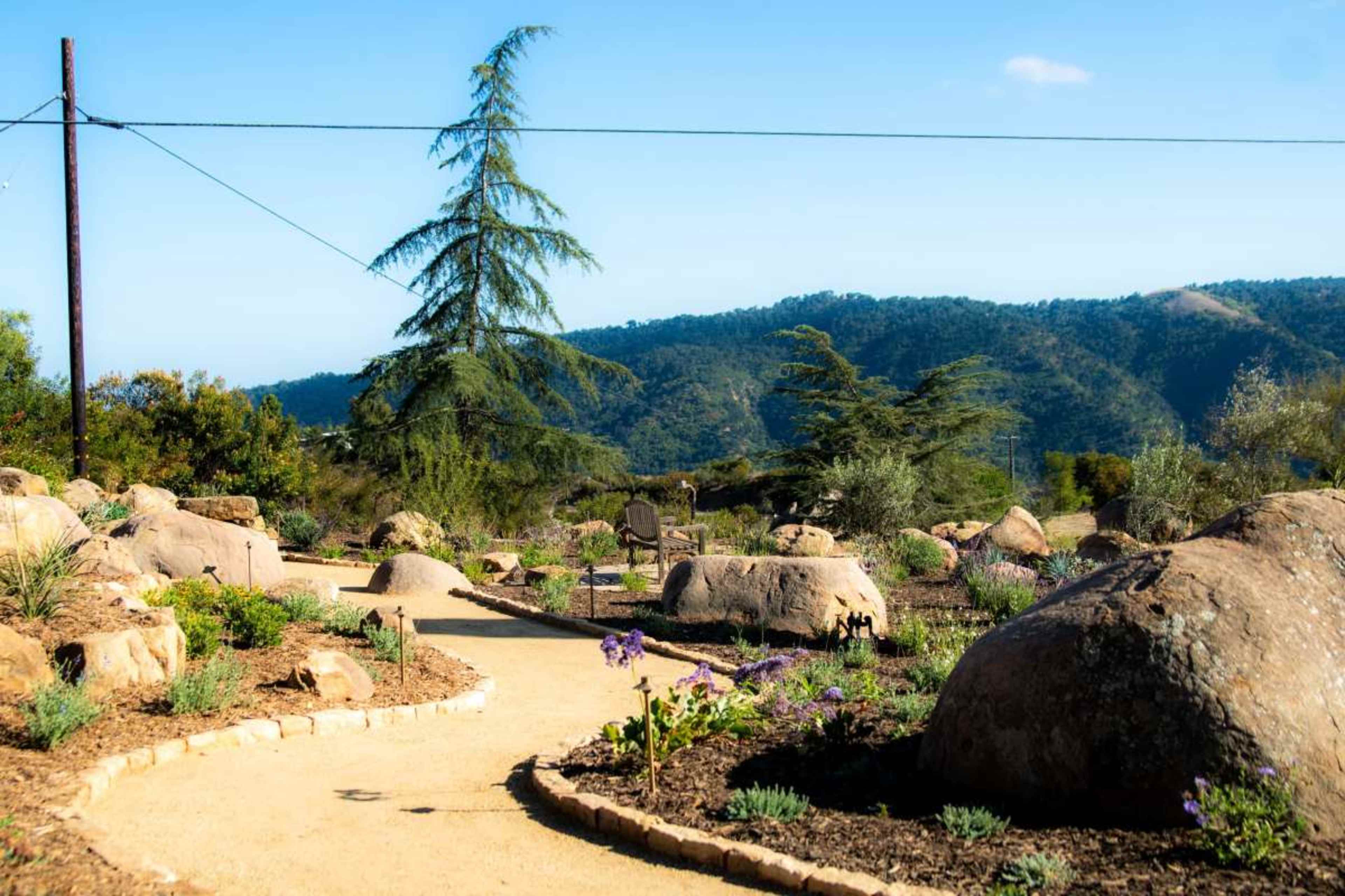 A winding path leads through a garden filled with large rocks and greenery, set against a backdrop of rolling hills.