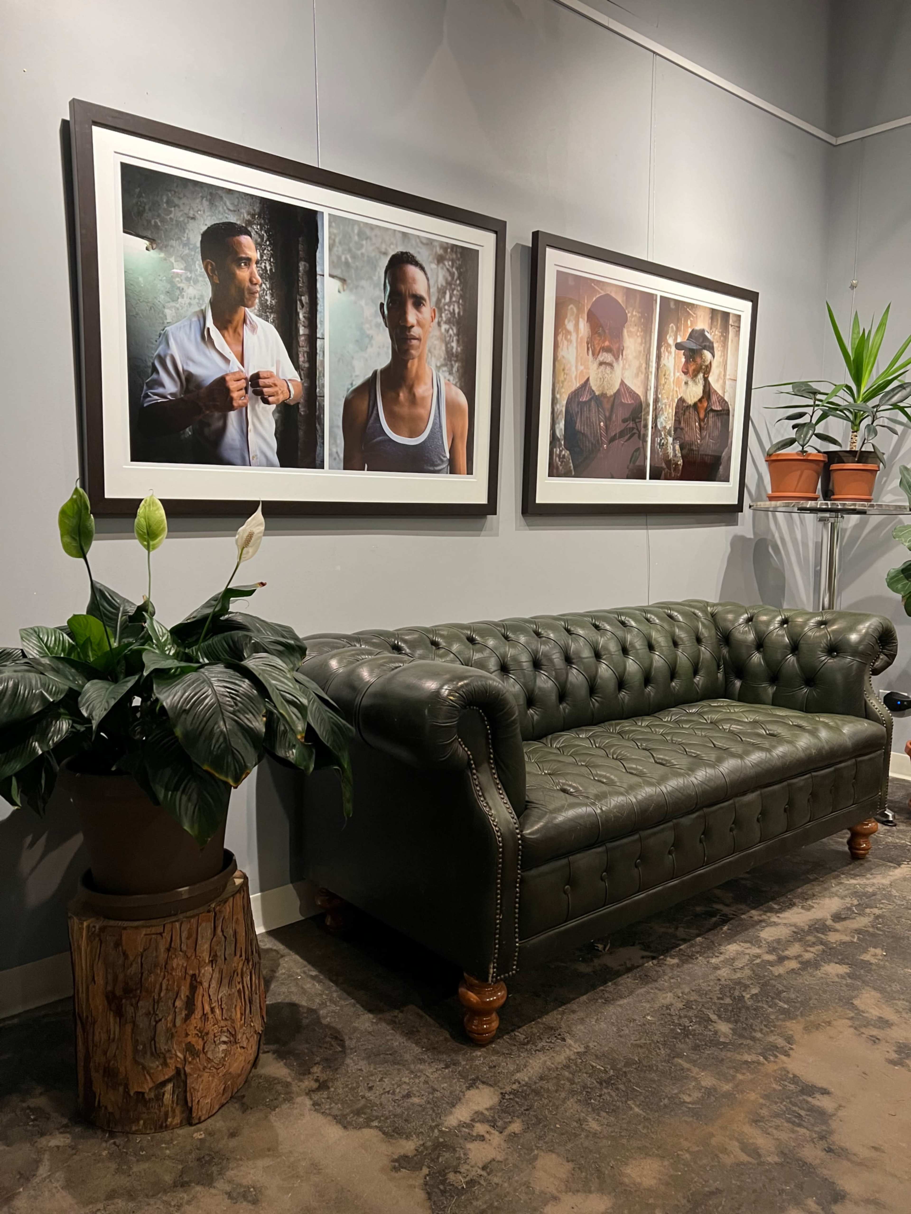 The image features a green leather tufted sofa next to two large framed photographs on the wall, with potted plants and a wooden stump nearby.