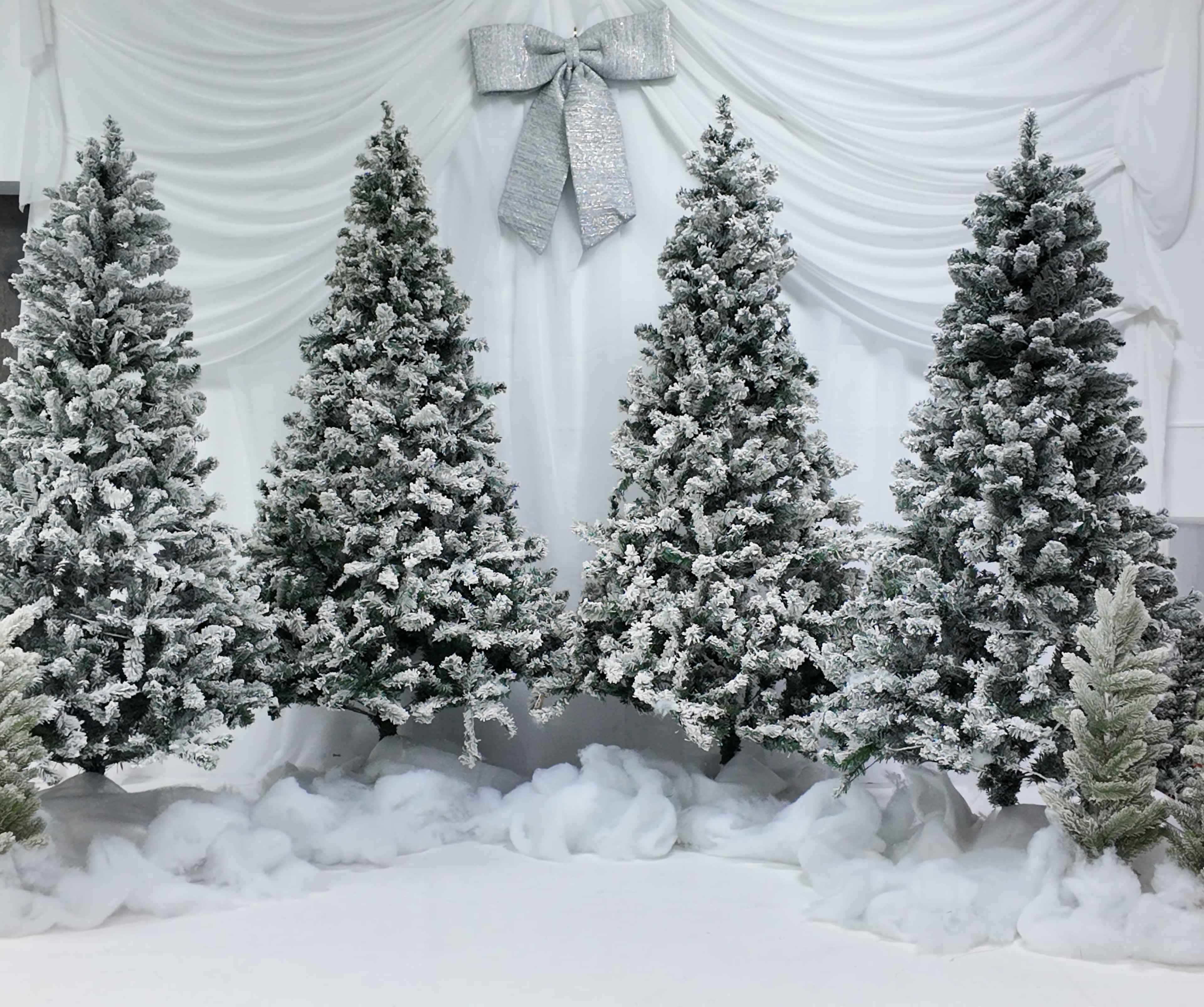 Christmas Set Studio Image in Mid West, Houston, TX