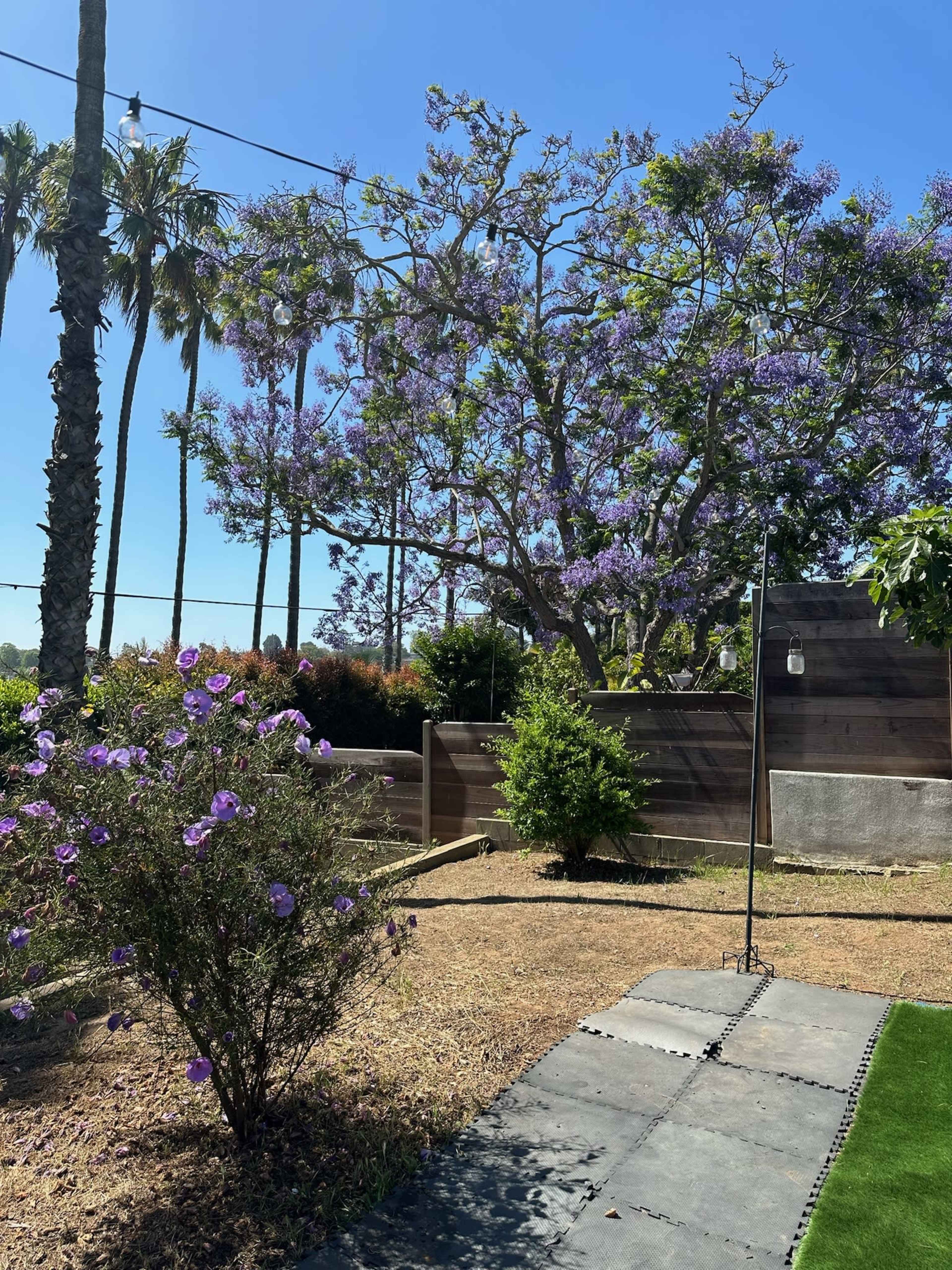 Private Backyard Wellness & Creativity Space Image in Wooded Area, San Diego, CA