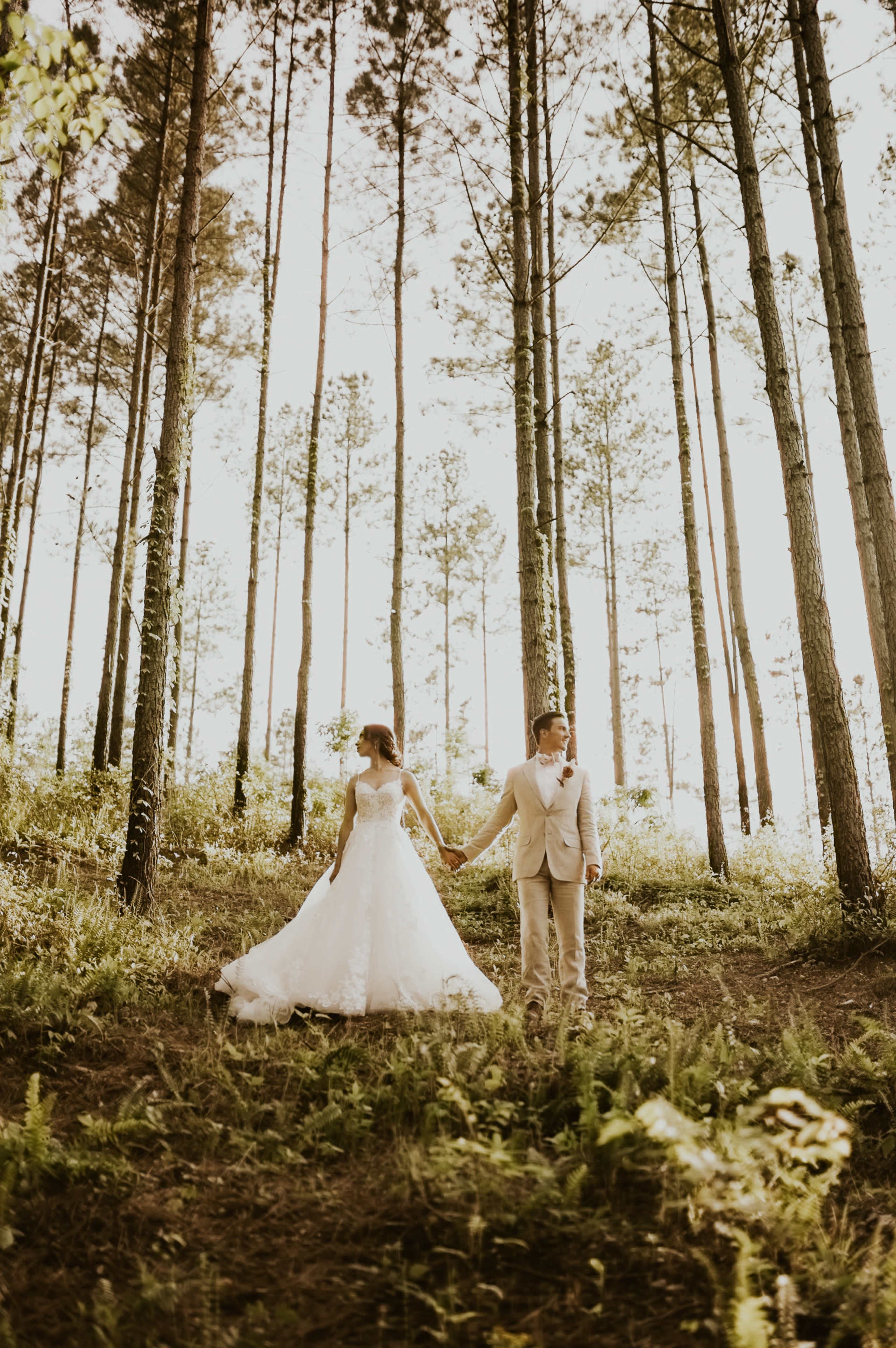 A bride in a white dress and a groom in a light suit hold hands while standing among tall pine trees in a forest setting.