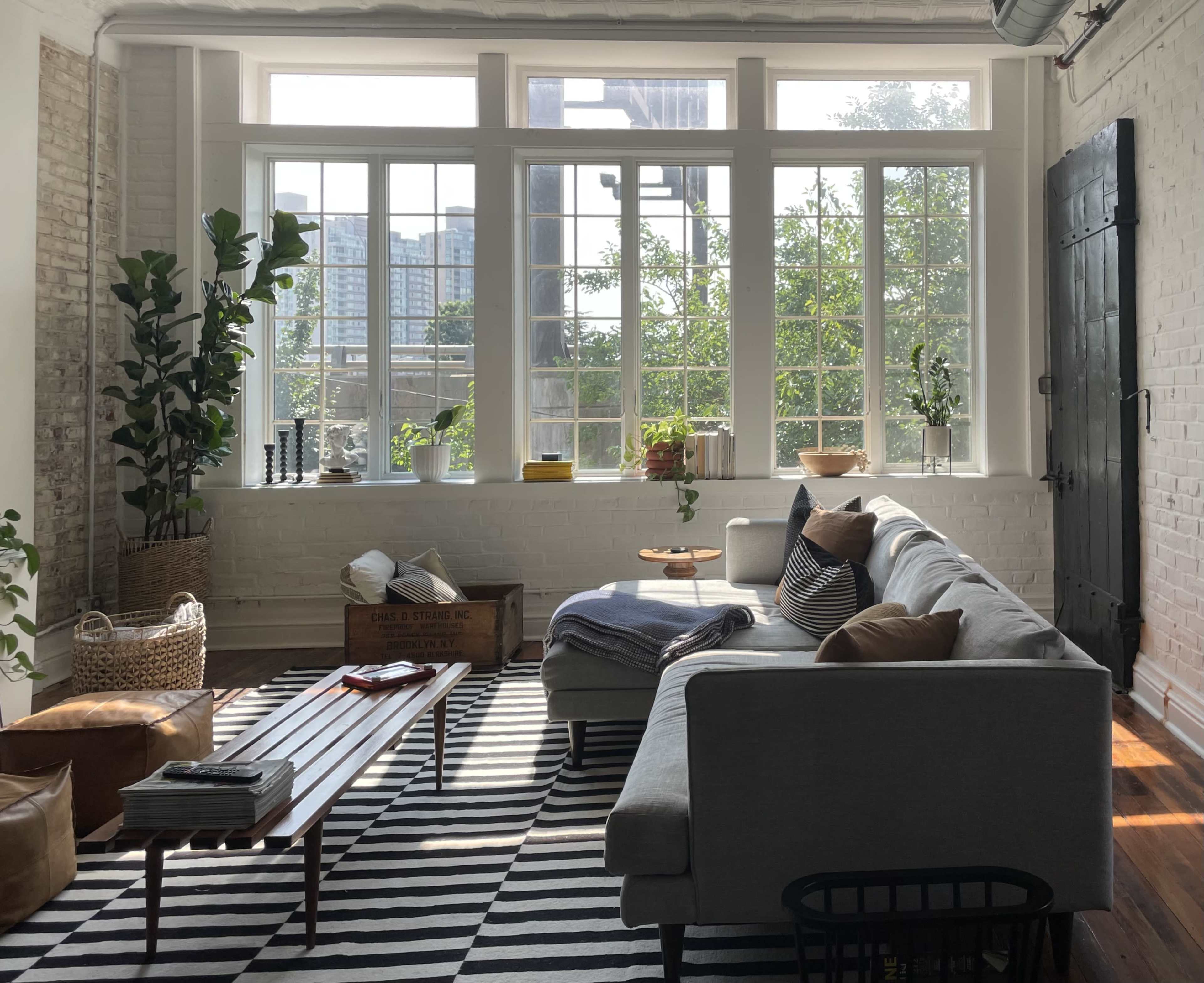 A well-lit living room features a gray sofa, a striped rug, and large windows with plants visible outside.