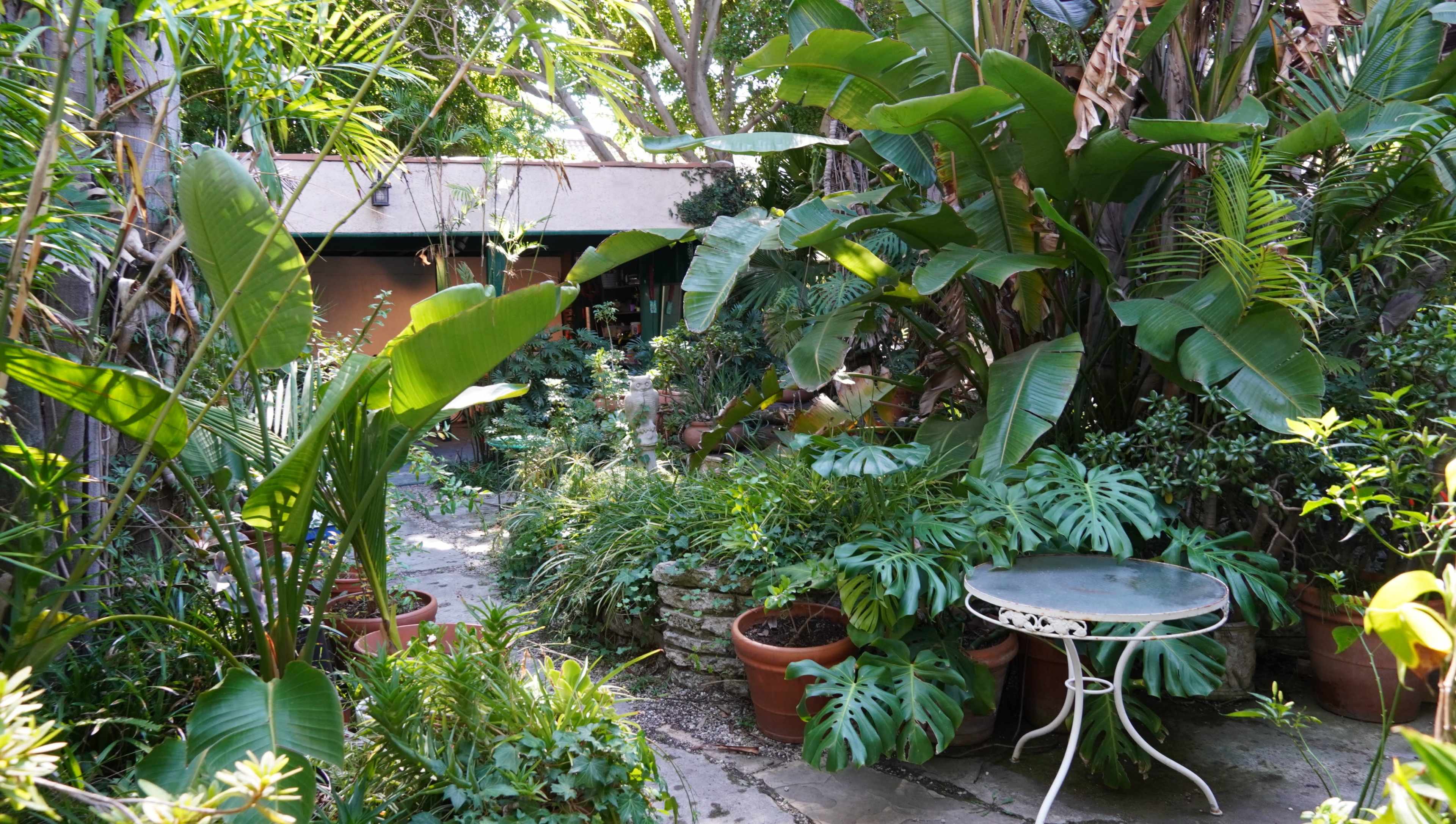 A stone pathway leads through a lush garden filled with potted plants and a small metal table surrounded by tropical foliage.
