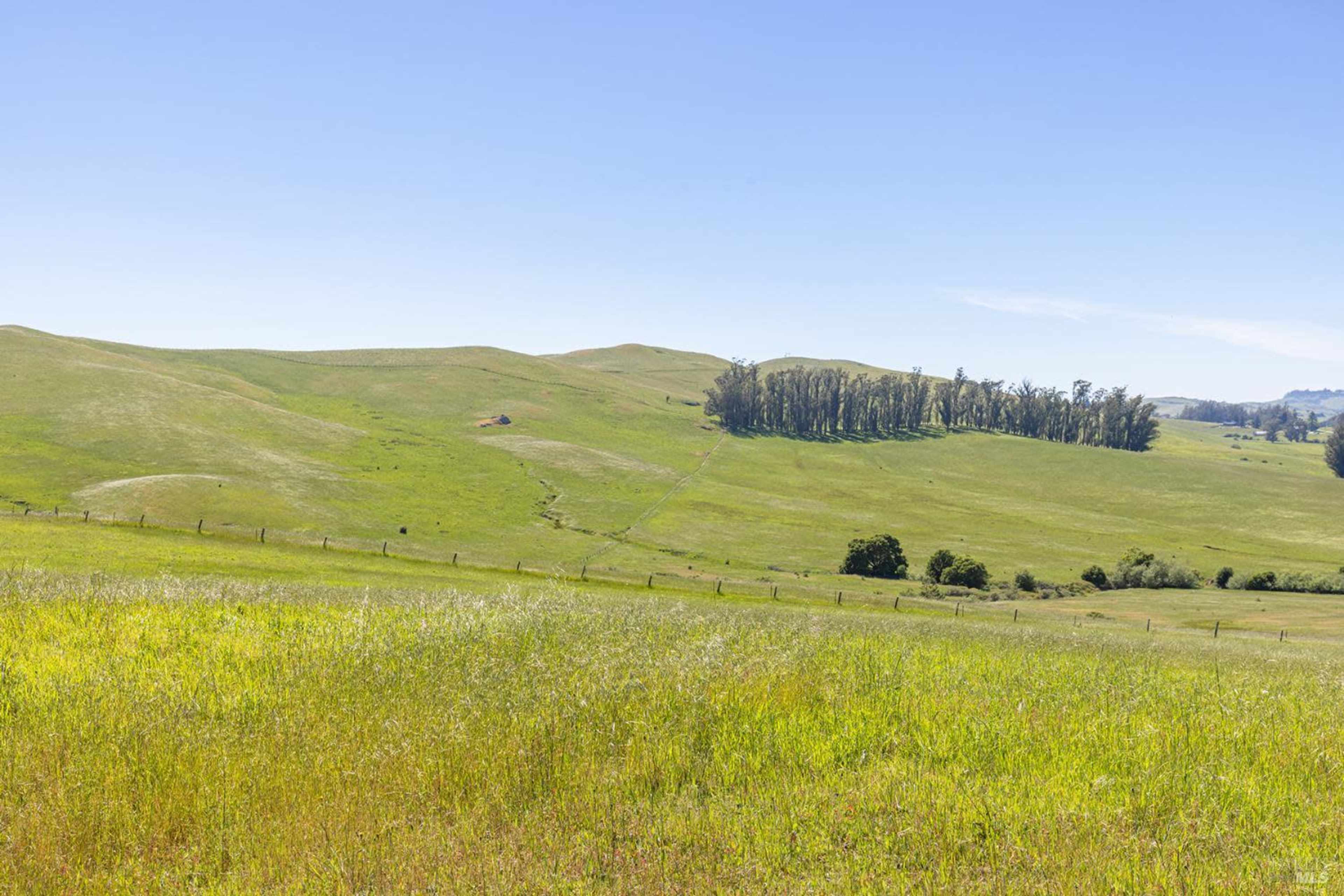 A vast green landscape with rolling hills and sparse trees under a clear blue sky.