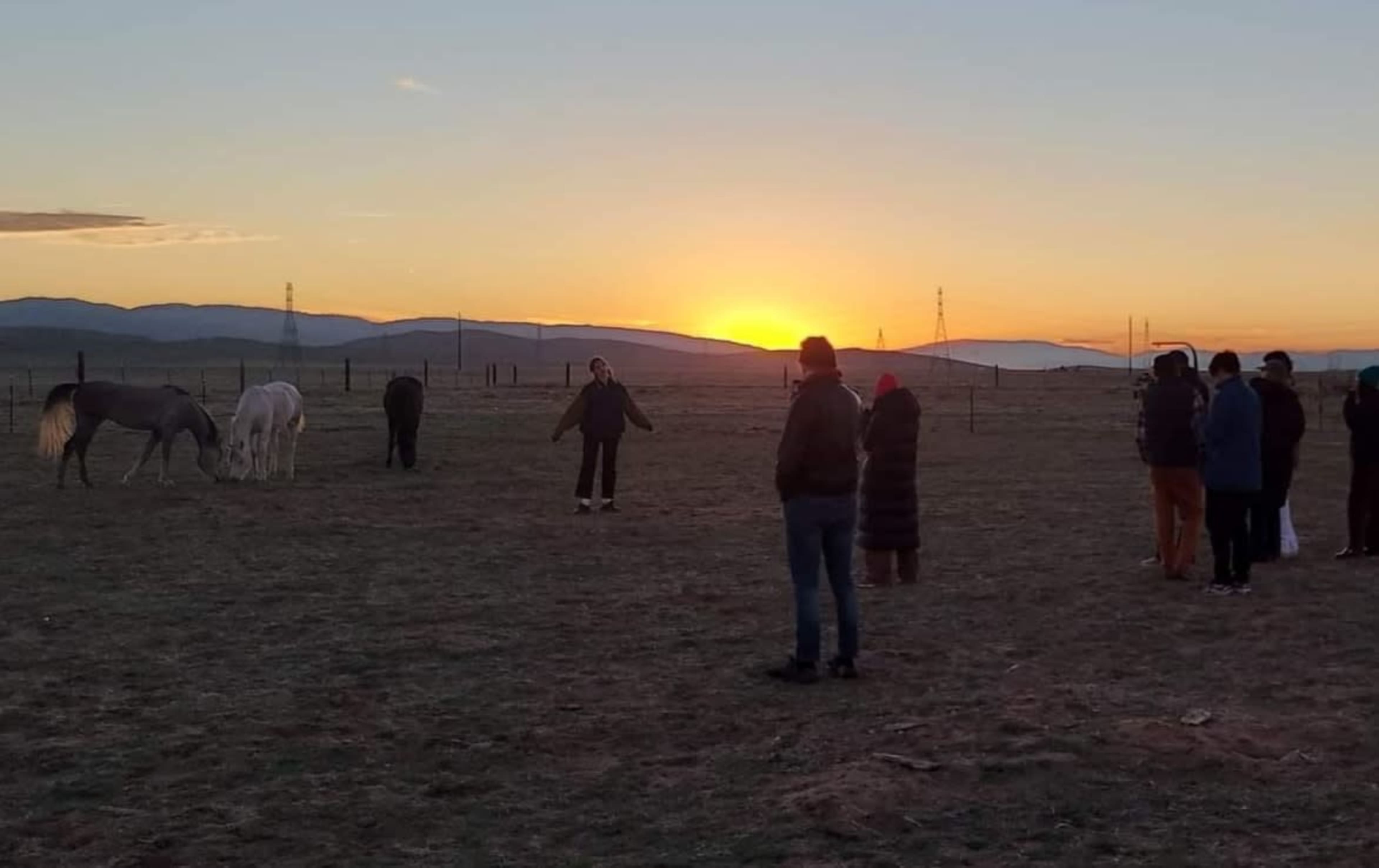 A group of people stands in a field at sunset, watching horses graze in the distance.