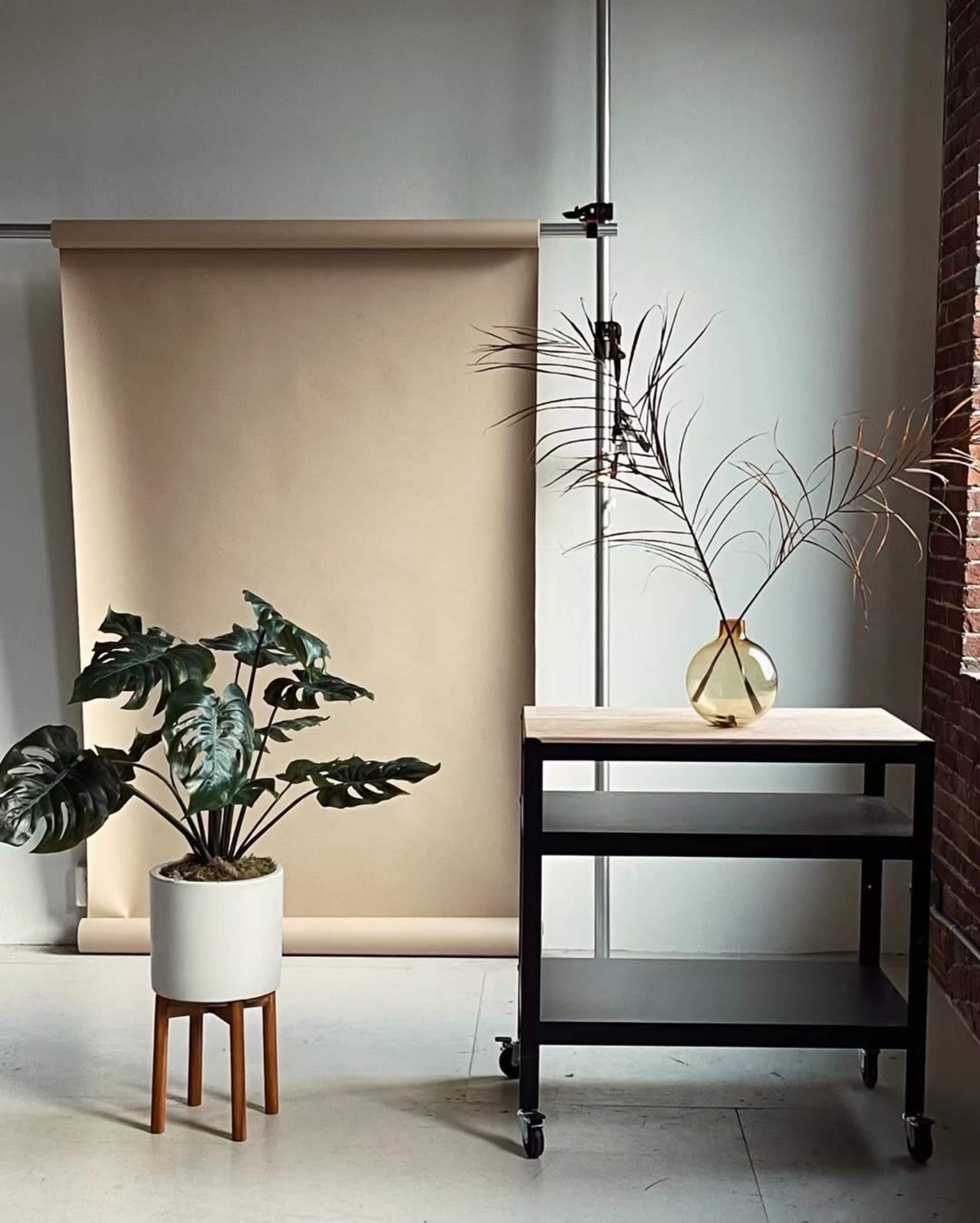 The scene features a potted plant next to a wheeled table with a round vase and decorative branches, set against a neutral backdrop.