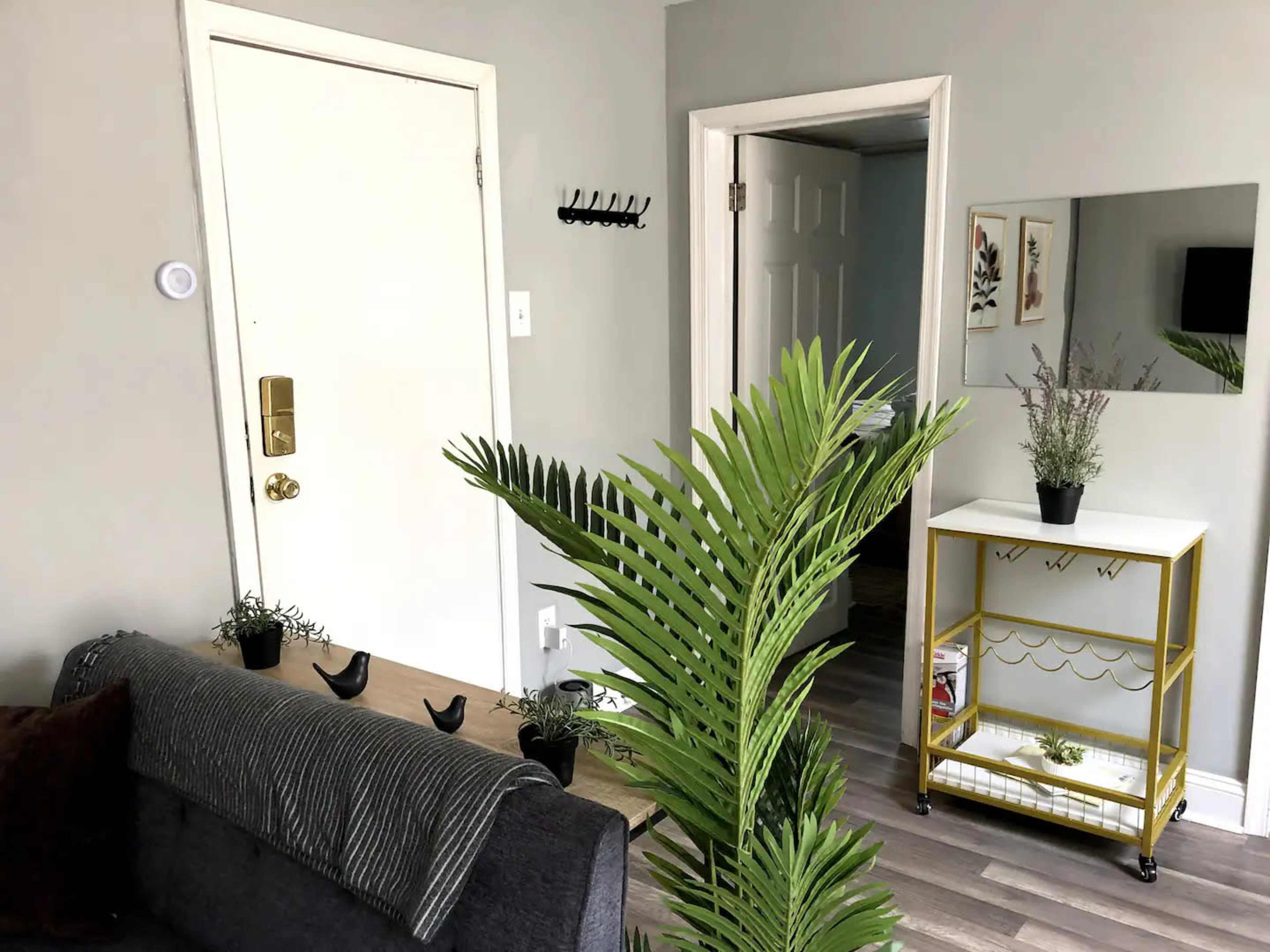 A small living area featuring a door leading outside, a mirror on a gold cart, a couple of indoor plants, and a gray couch.