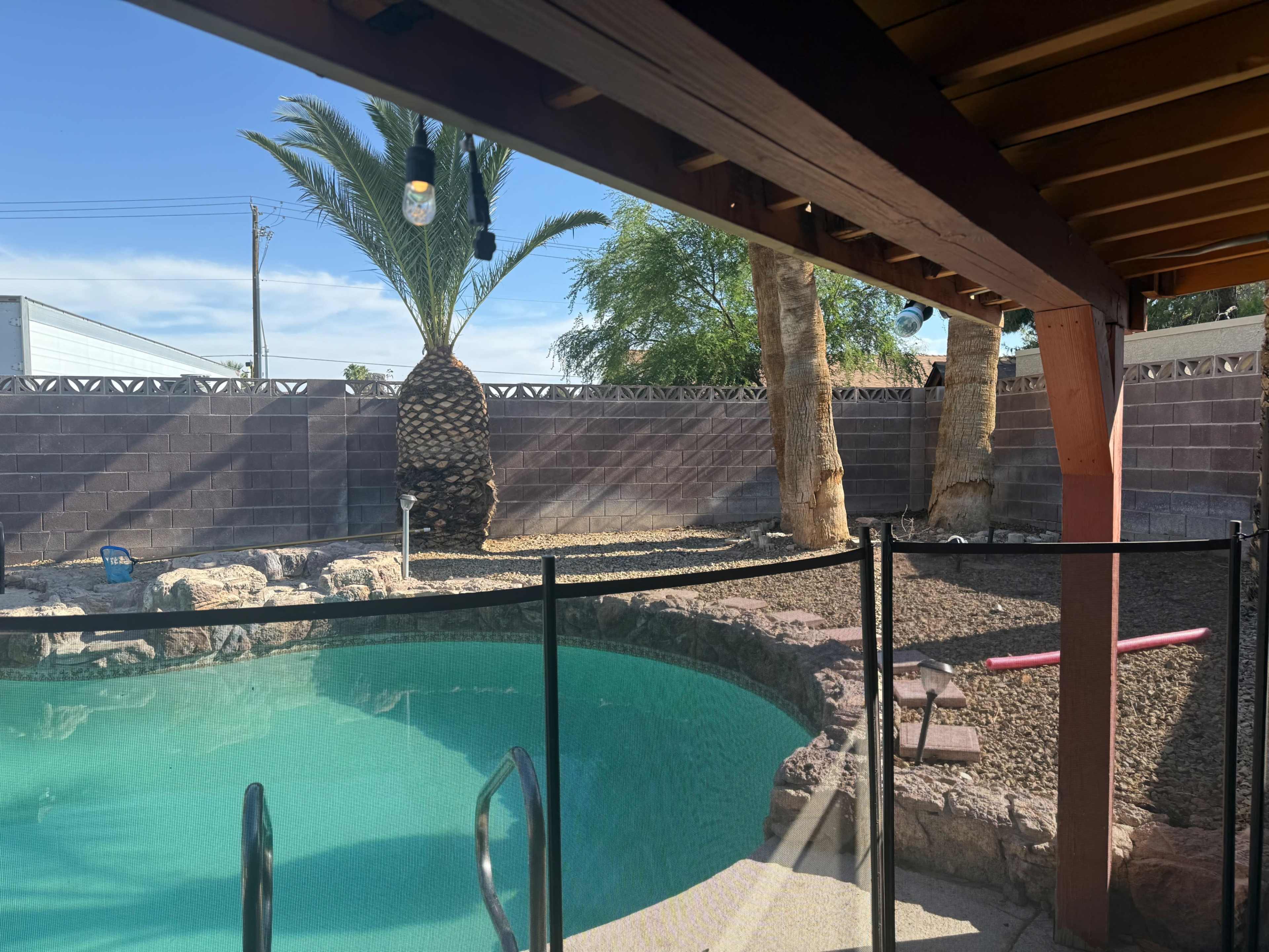 The image shows a backyard pool area enclosed by a mesh safety fence, featuring a palm tree and rocky landscaping under a clear blue sky.