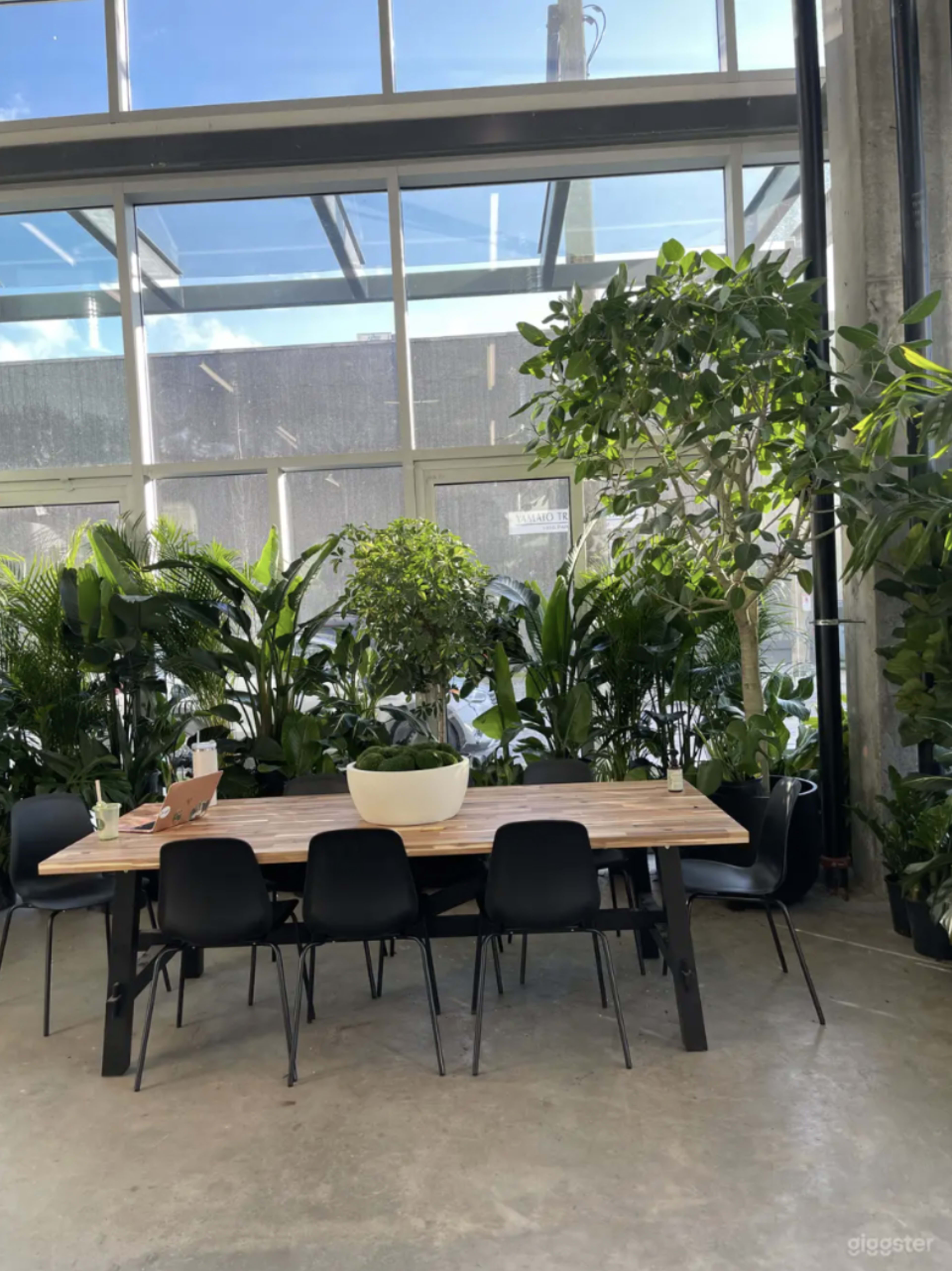 A large wooden dining table surrounded by black chairs is set in an indoor space filled with an array of potted plants and large windows letting in natural light.