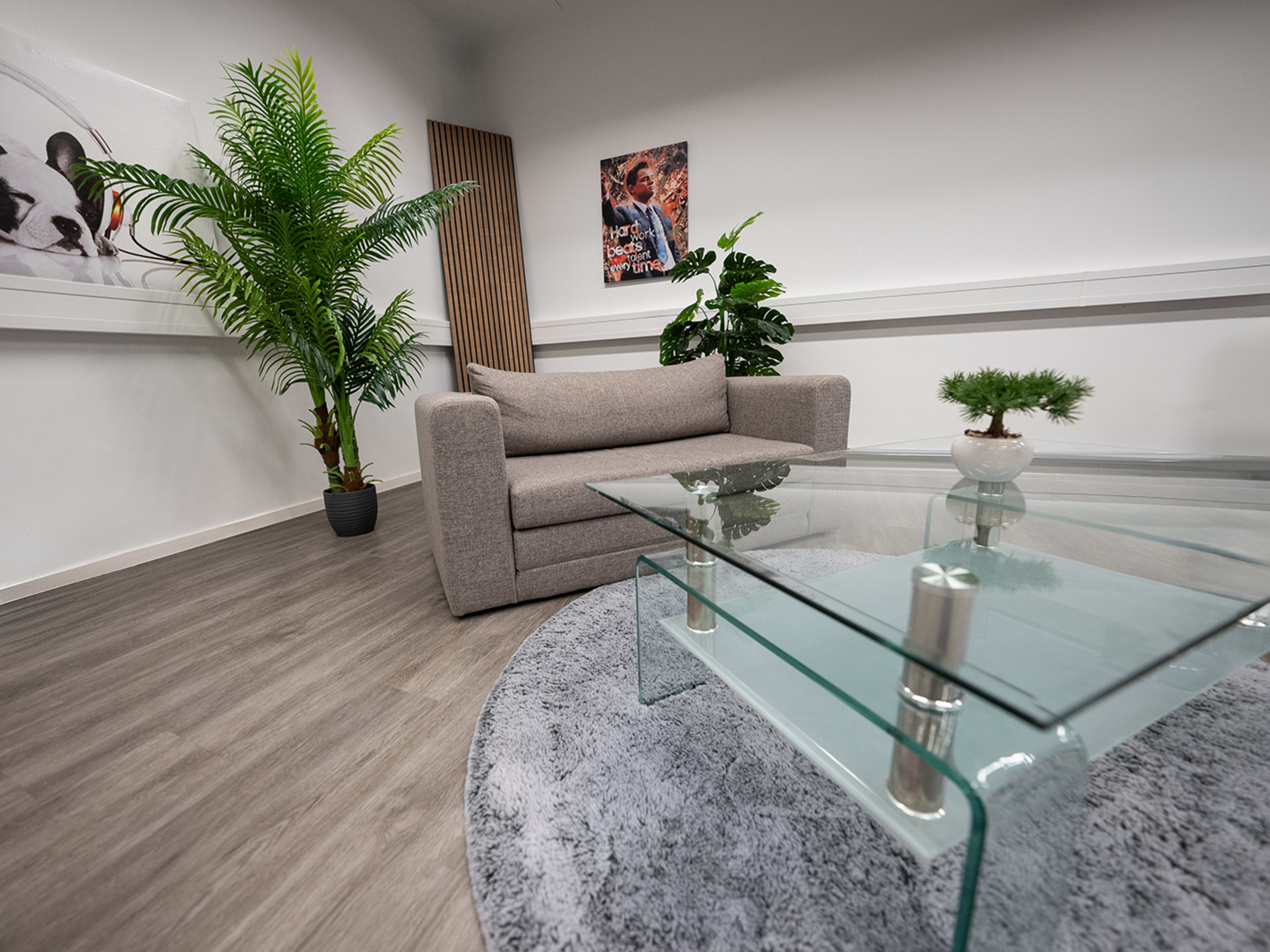 A modern interior space features a gray sofa, a glass coffee table with a small plant, and greenery in the corners.