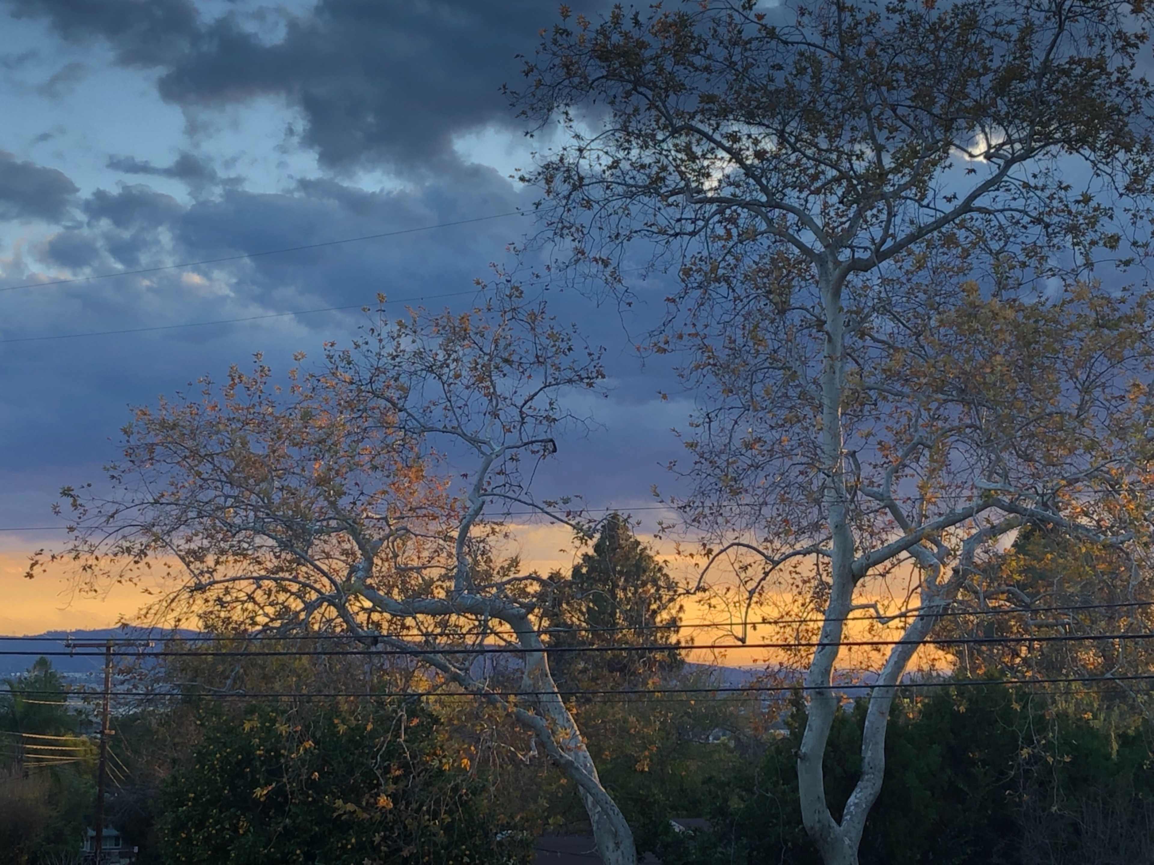Two bare trees with sparse leaves are silhouetted against a colorful sunset sky featuring clouds and distant mountains.