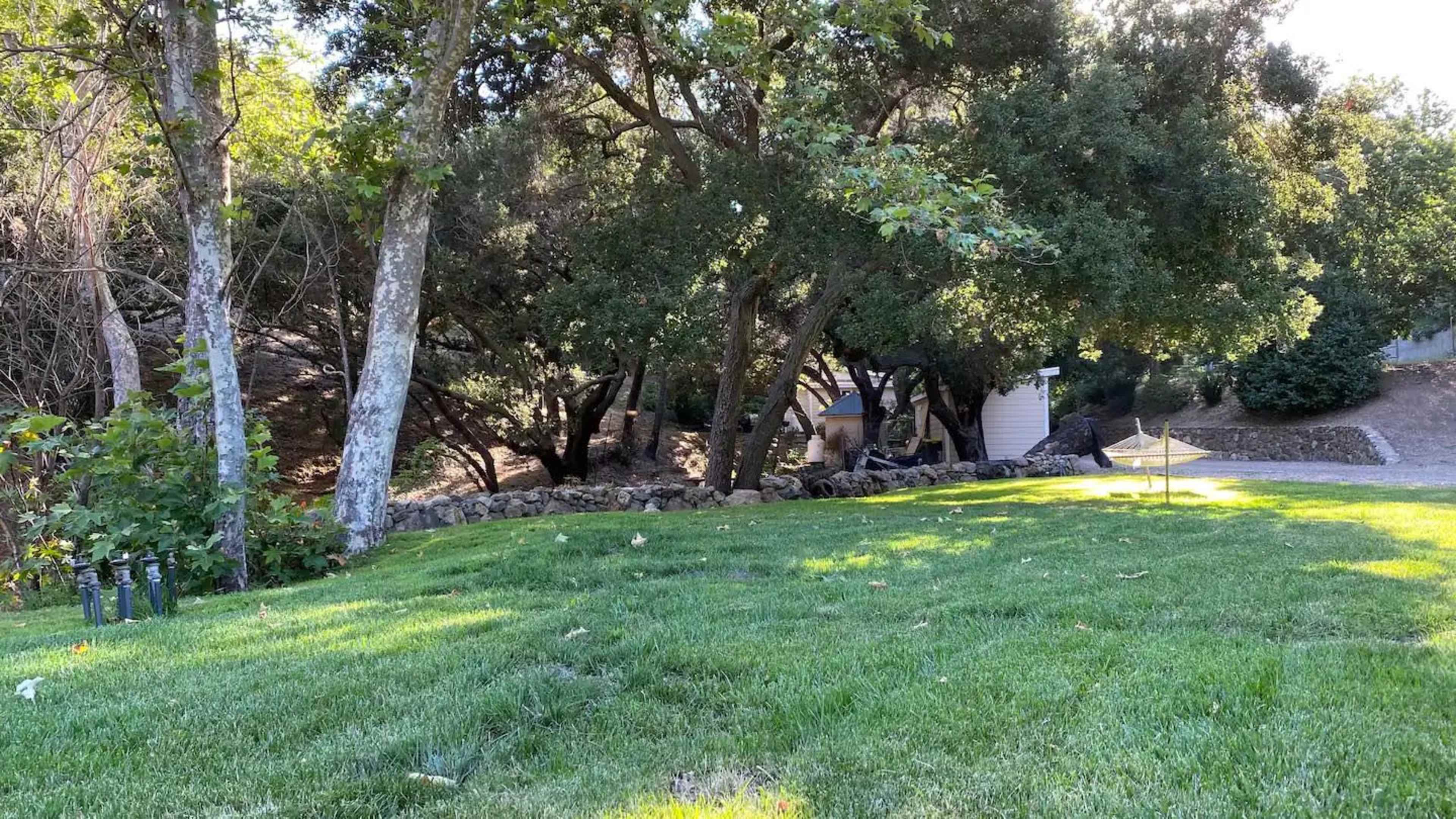 A grassy area is bordered by trees and a stone wall, leading to a pathway in a wooded setting.