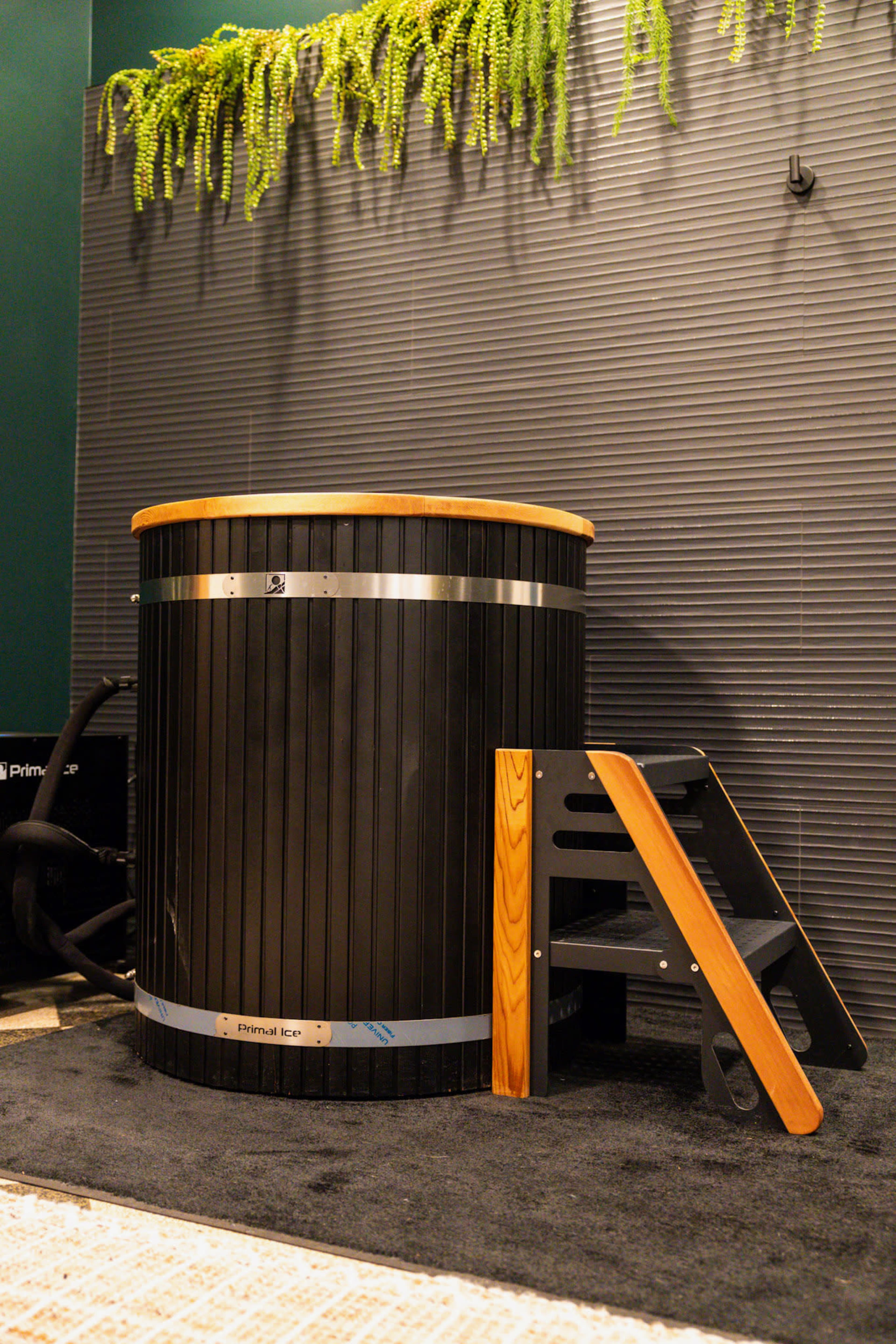 The image shows a black wooden ice bath with a wooden top and a small set of stairs next to it, placed against a textured wall and surrounded by greenery.