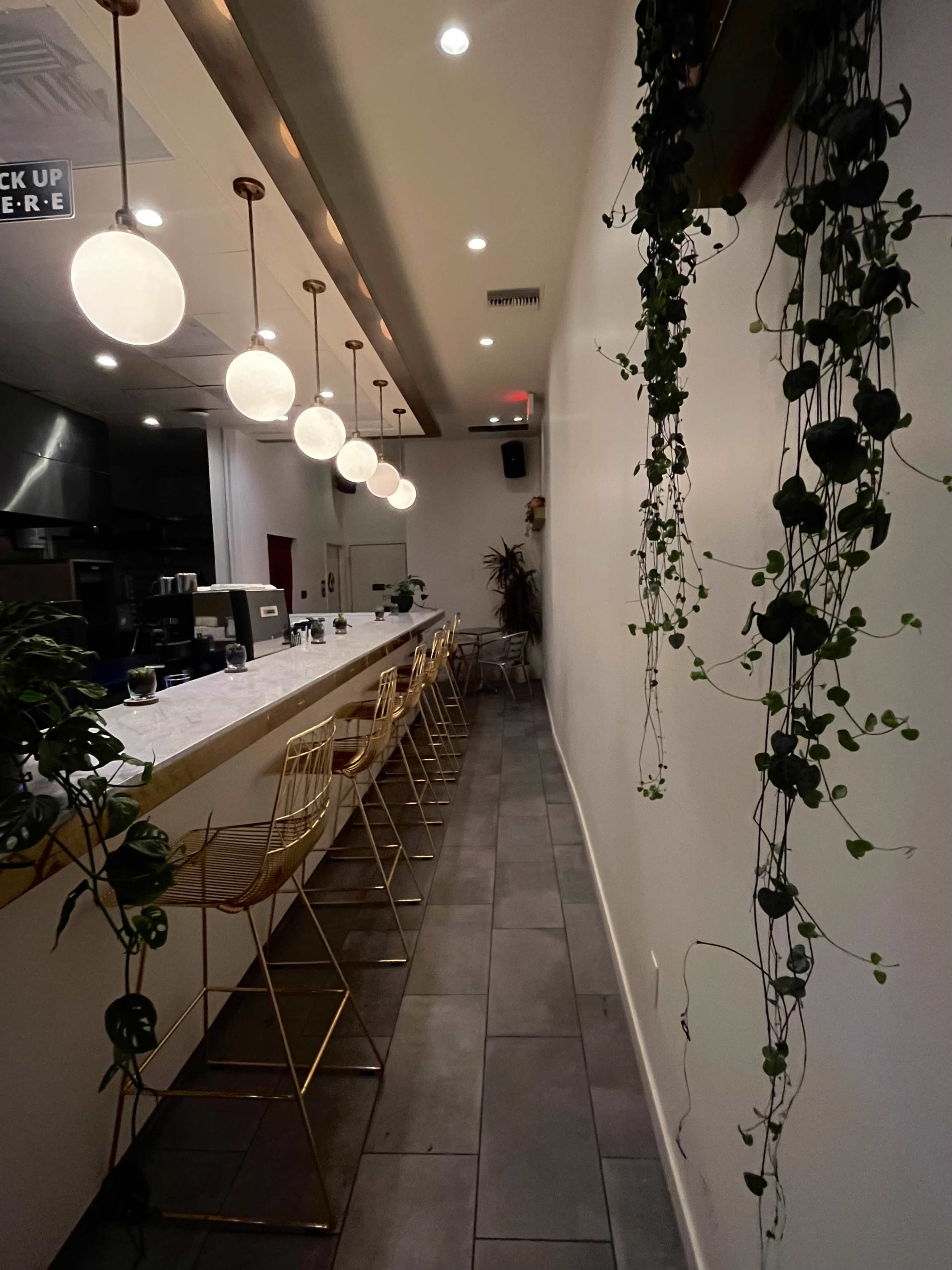 A modern bar with a long counter features round pendant lights and hanging greenery along one wall.