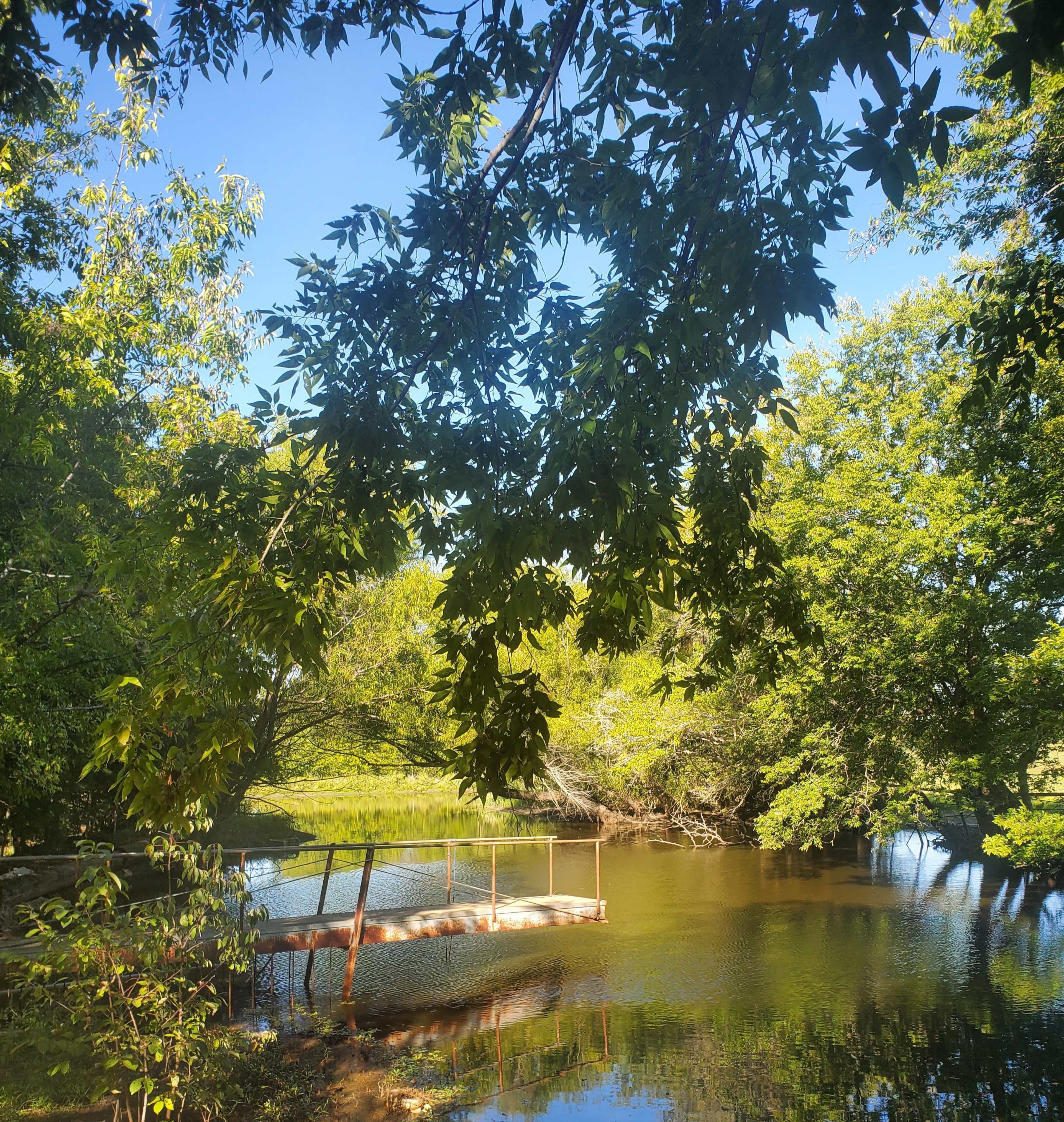 A wooden dock extends over a tranquil body of water, surrounded by lush green trees and clear blue skies.