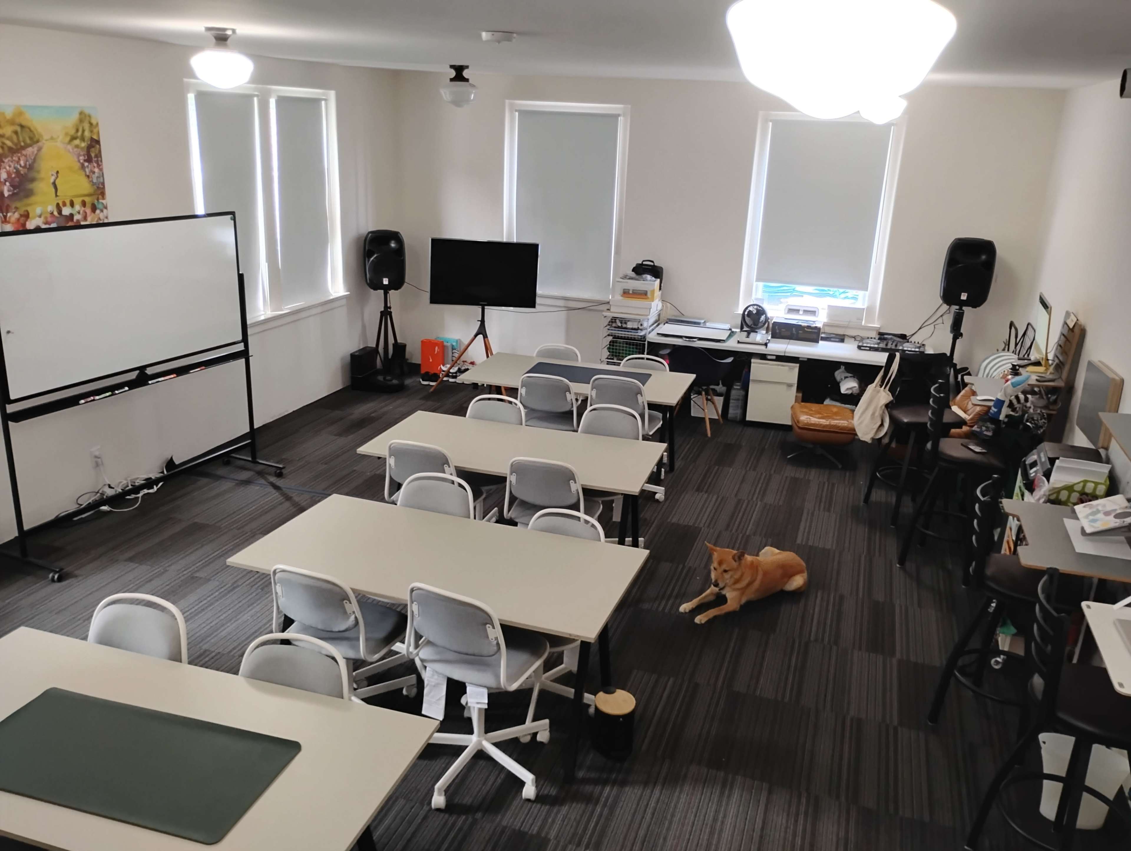 A classroom is set up with several tables and chairs, a whiteboard, a television, and a dog resting on the floor.
