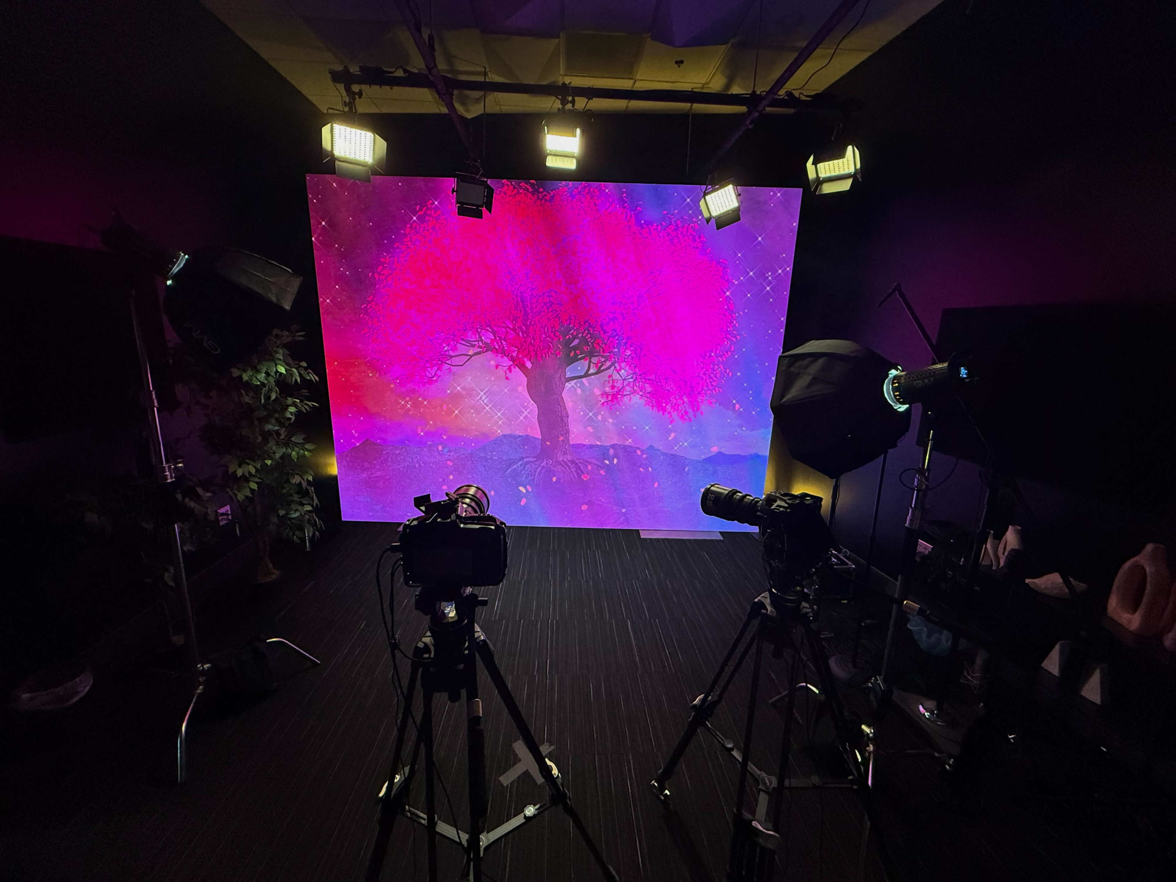 The image shows a studio setup with two cameras pointed at a backdrop featuring a large pink tree illuminated by colorful lights.