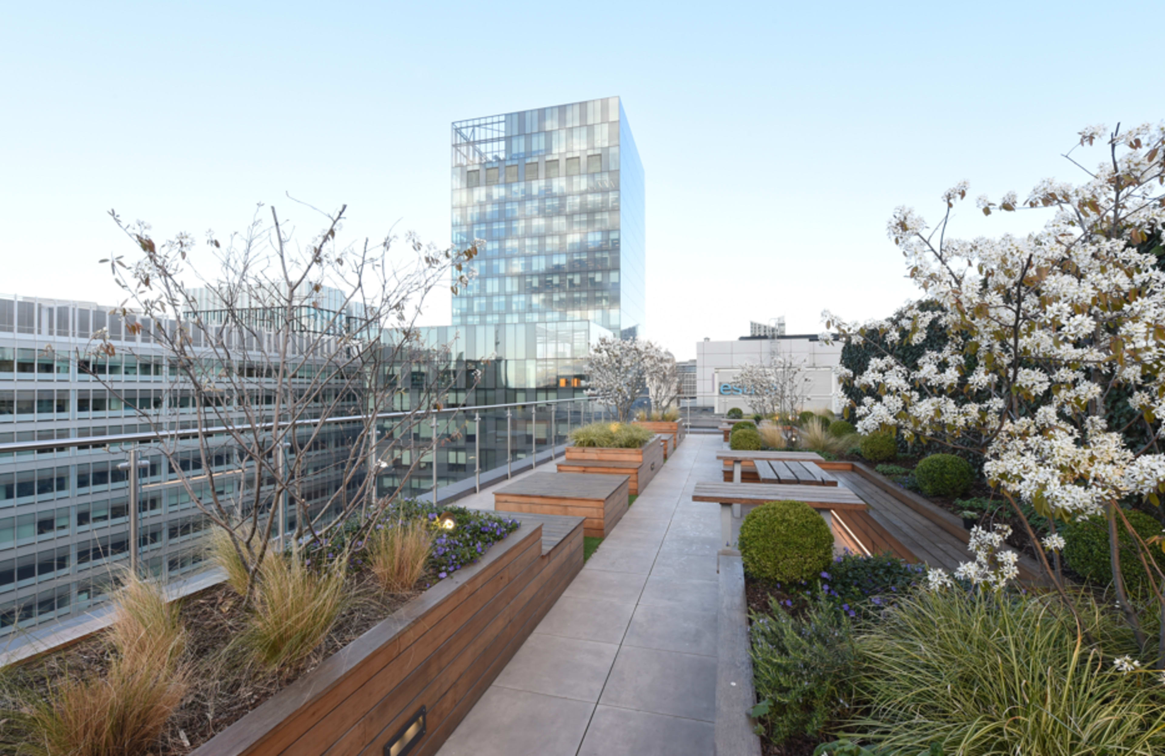 A rooftop garden with wooden planters, flowering trees, and a modern glass building in the background.