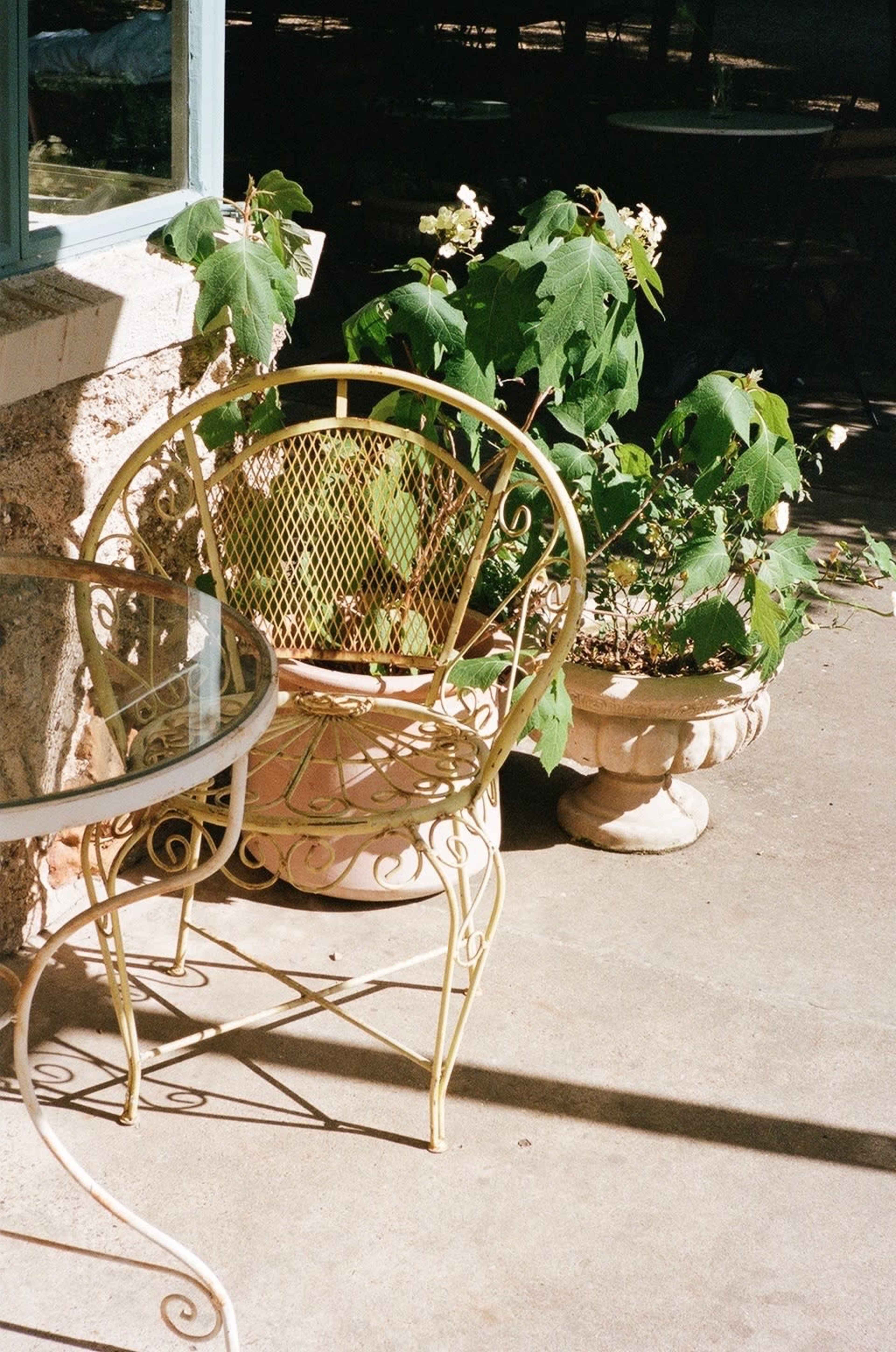 A metal chair with a circular design sits next to a potted plant on a concrete surface near a window.