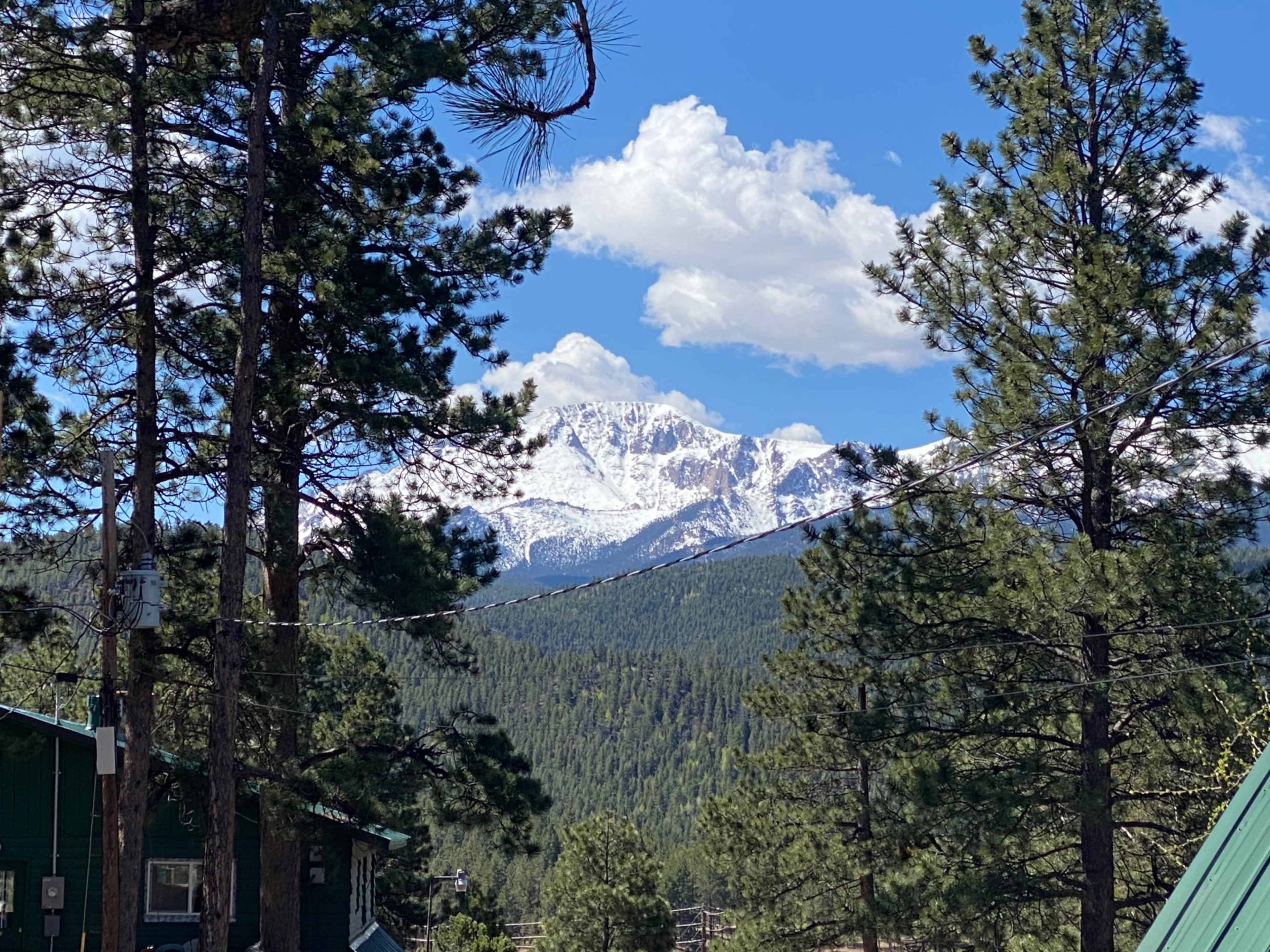 The image shows a view of snow-capped mountains rising above a forested landscape with pine trees in the foreground.