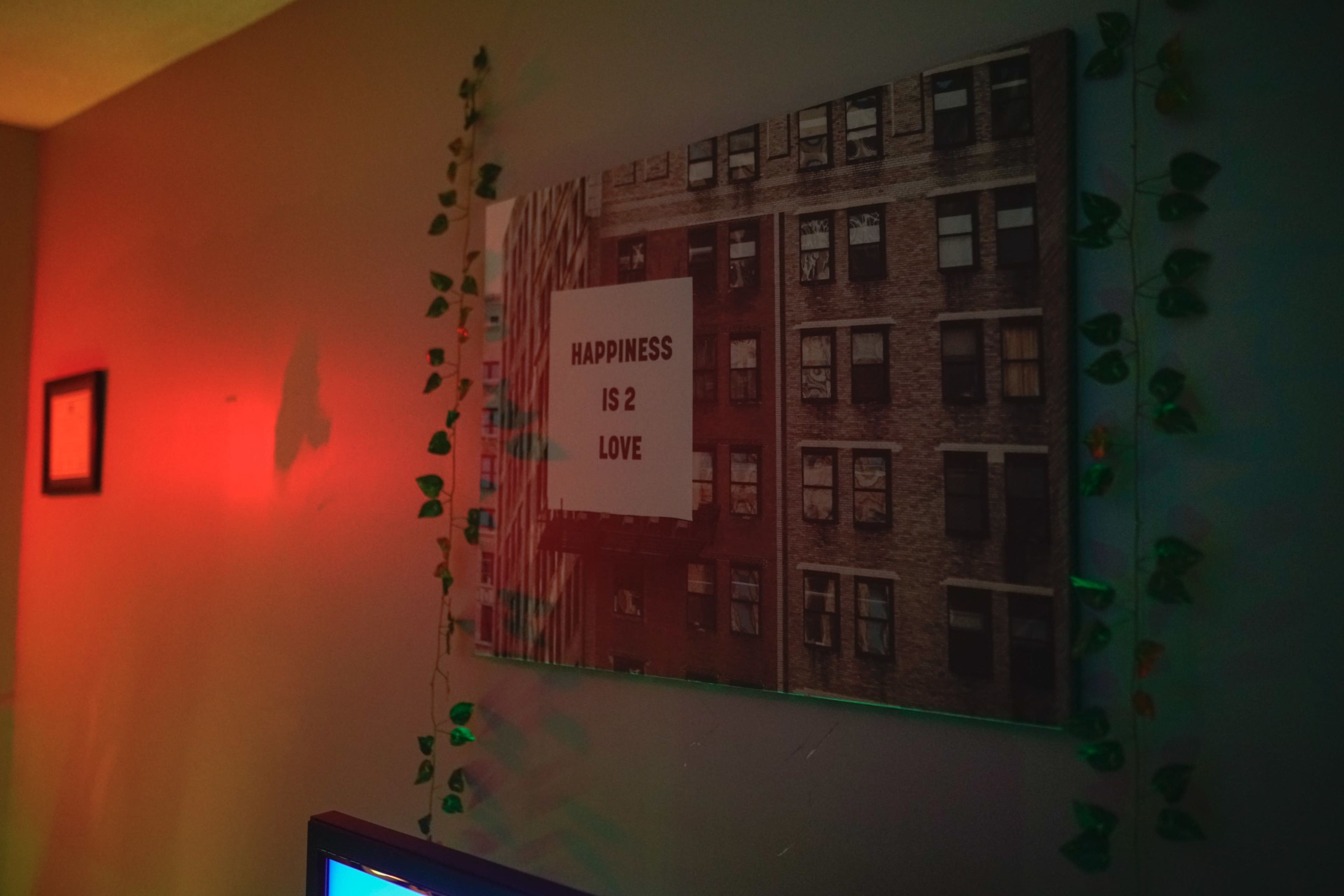 A framed poster with the text "HAPPINESS IS 2 LOVE" is displayed on a wall adorned with green vines, beside a dimly lit television.