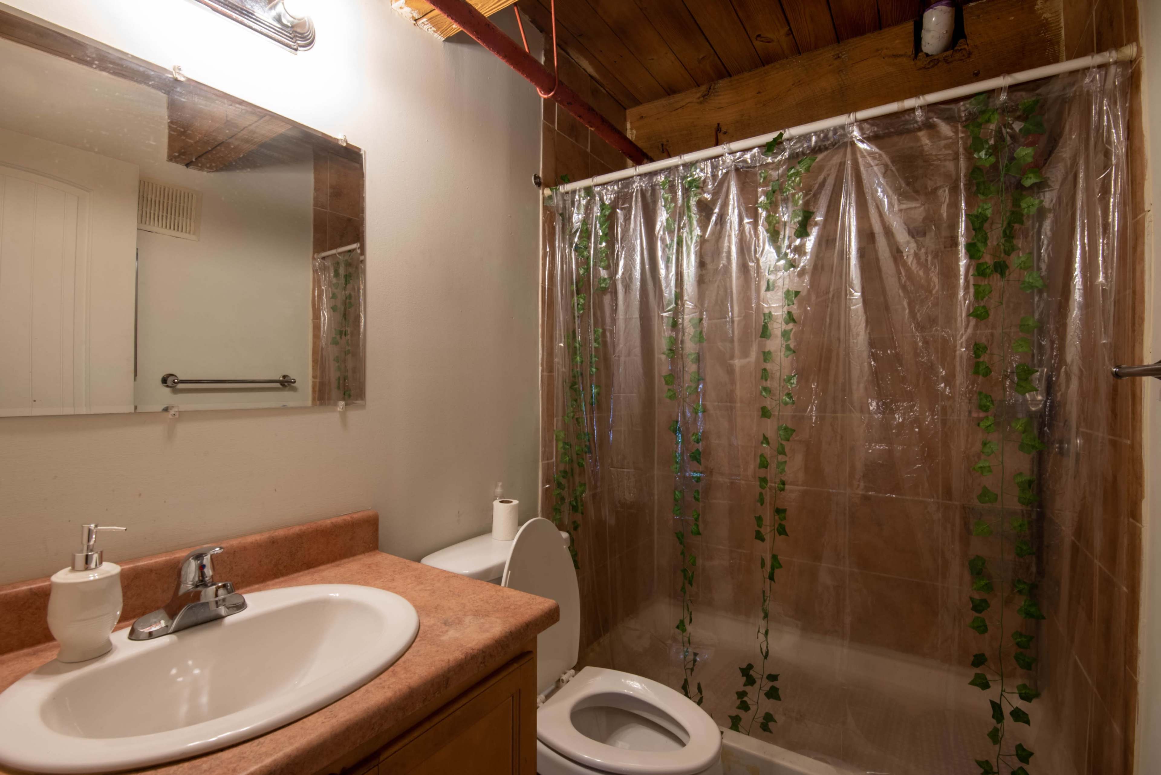A small bathroom featuring a shower with a transparent curtain adorned with green leaves, a sink with a white faucet, and a toilet.