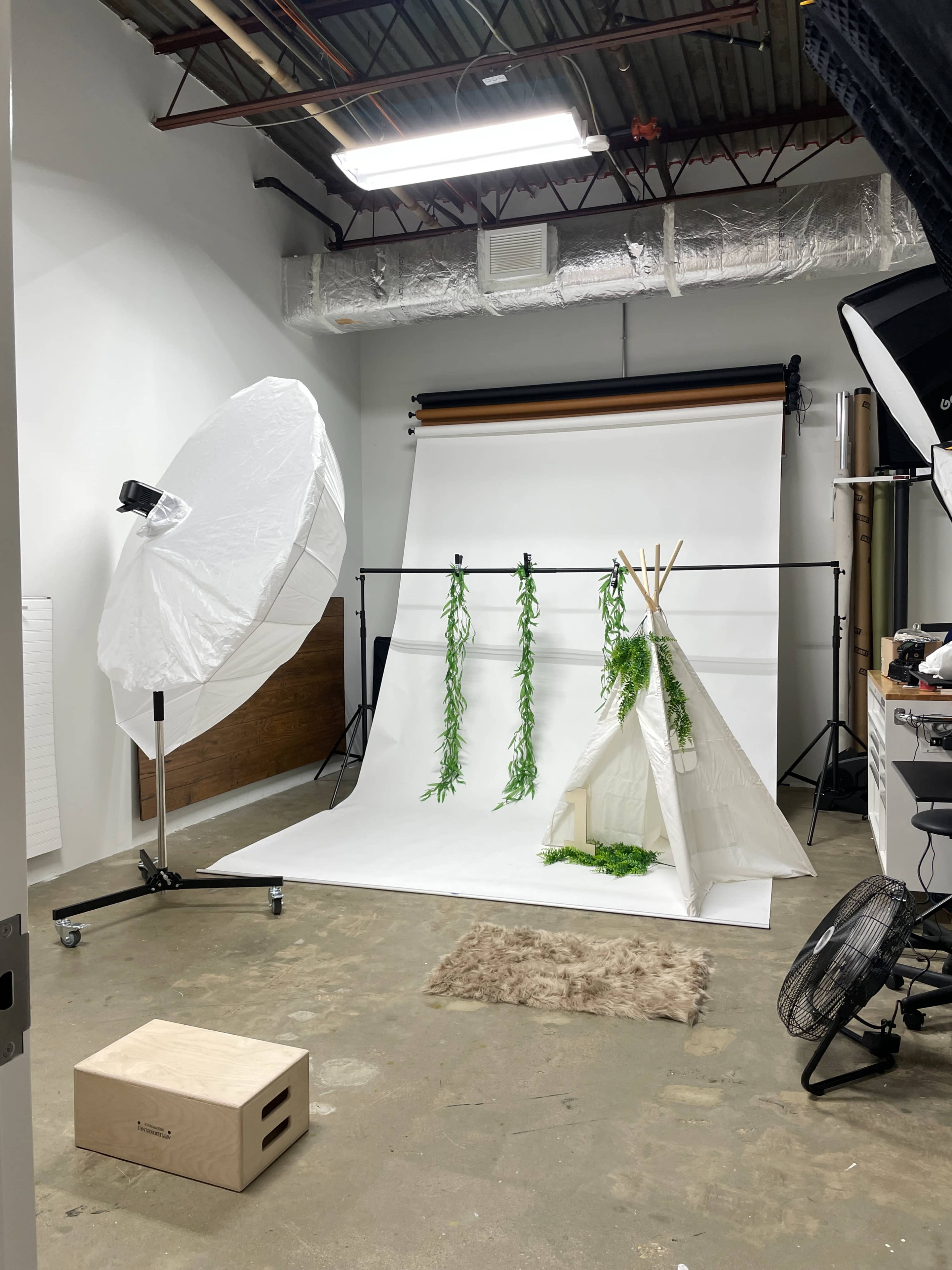 A photography studio set up with a white backdrop, a teepee structure, green foliage hanging, and soft lighting equipment.