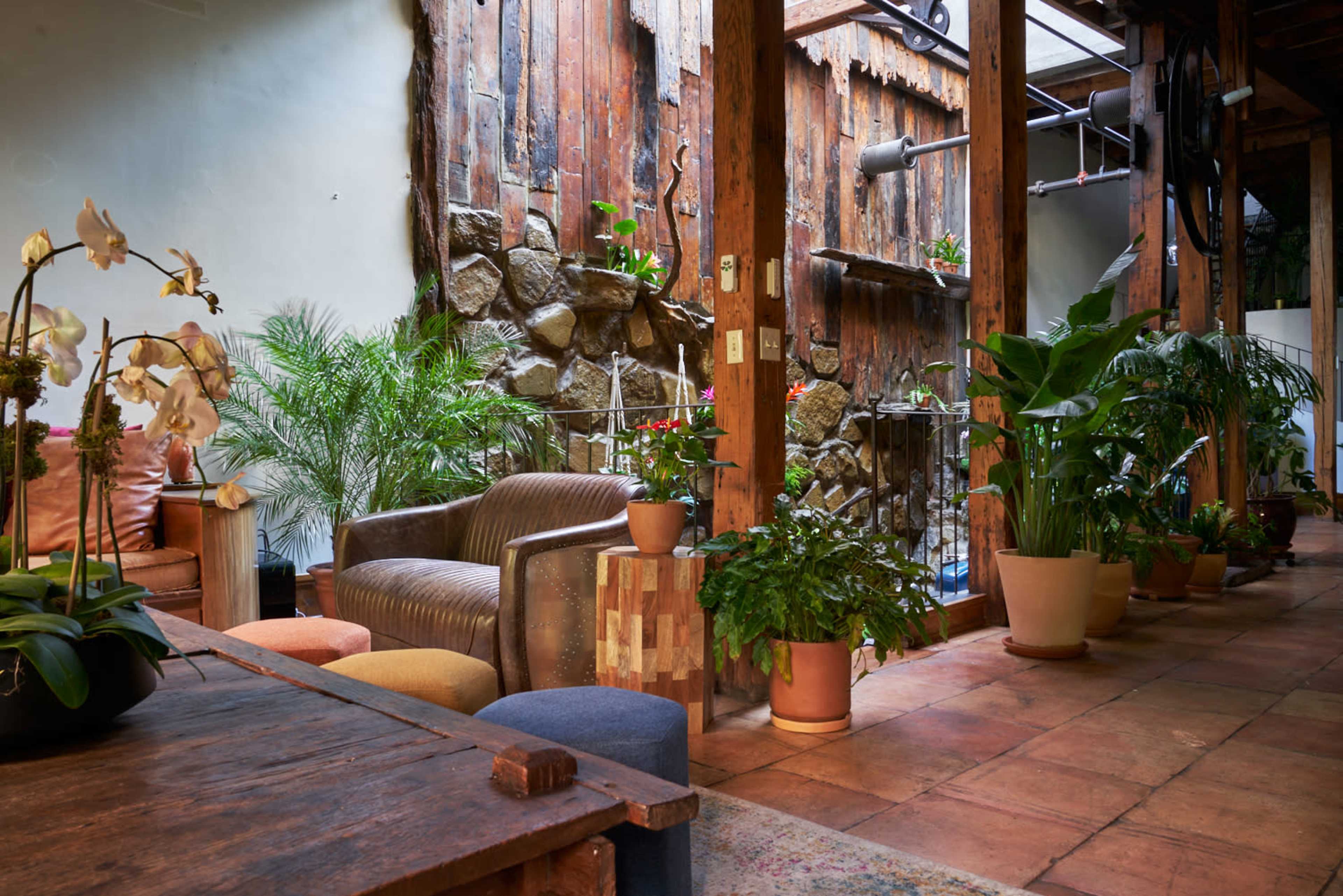 A cozy interior space with wooden walls, stone accents, and various potted plants, including orchids.