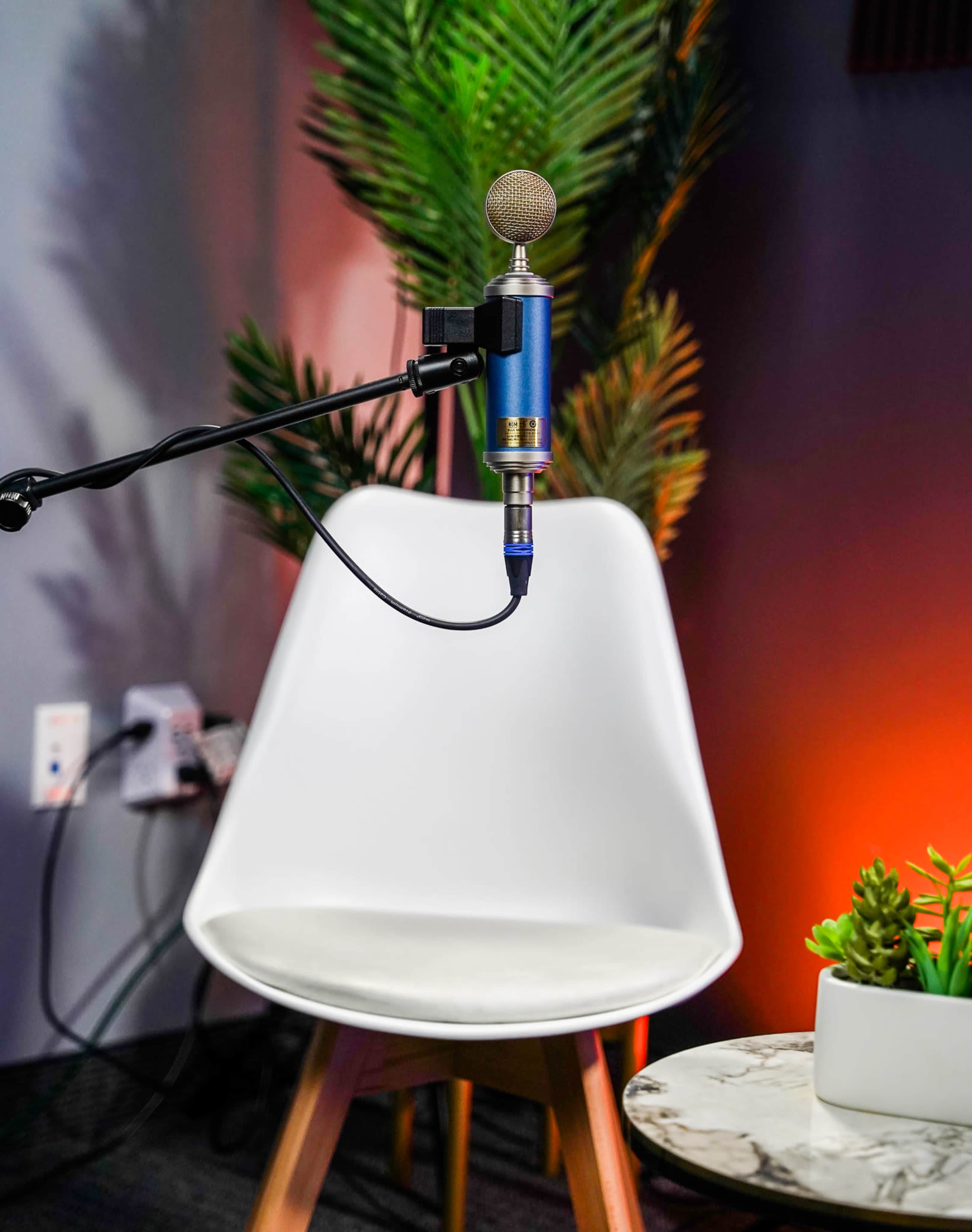 A microphone is positioned in front of an empty white chair beside a small plant on a table, with colorful lighting in the background.