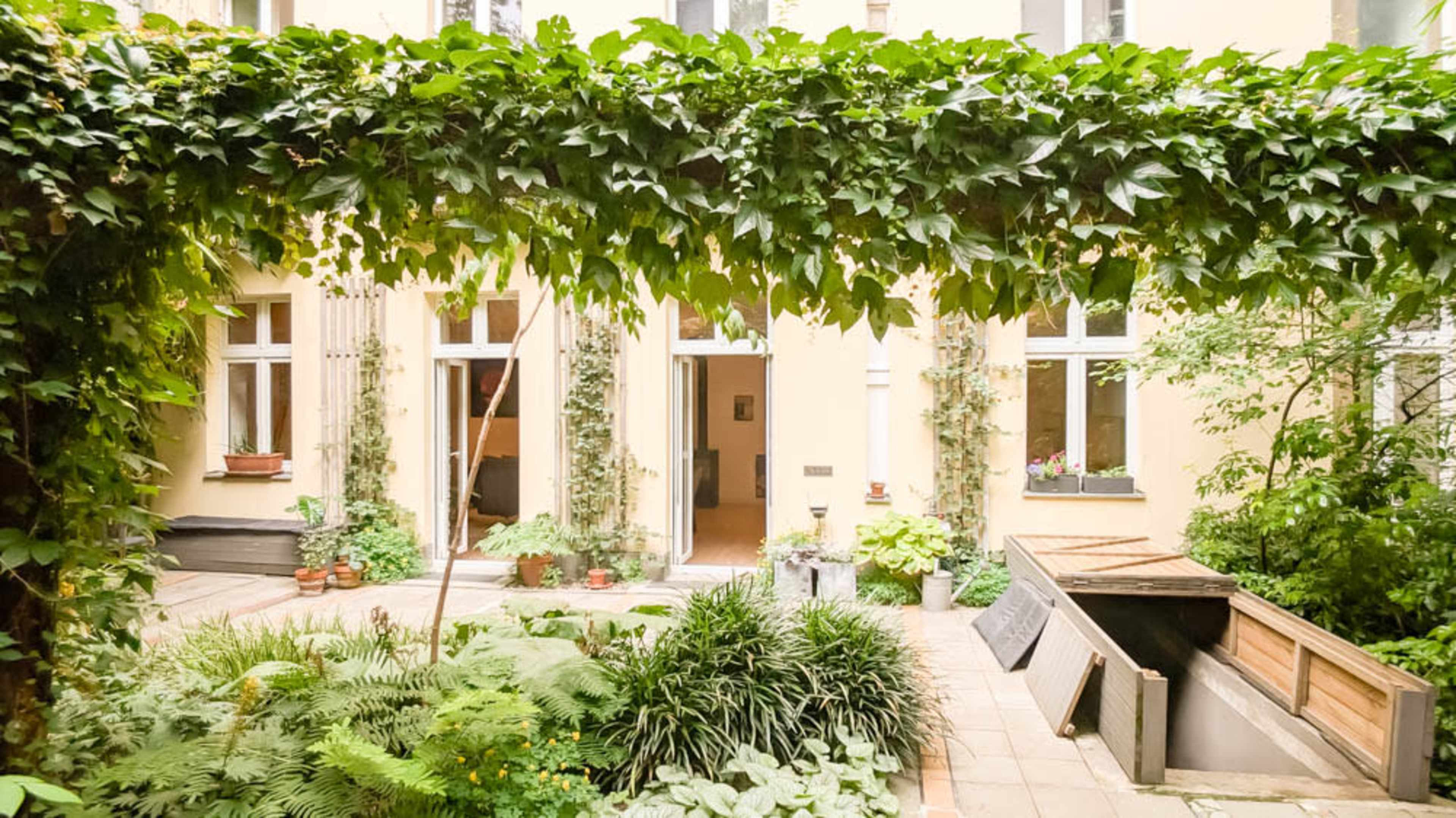 A courtyard is covered with green vines and surrounded by various plants, leading to a set of double doors.