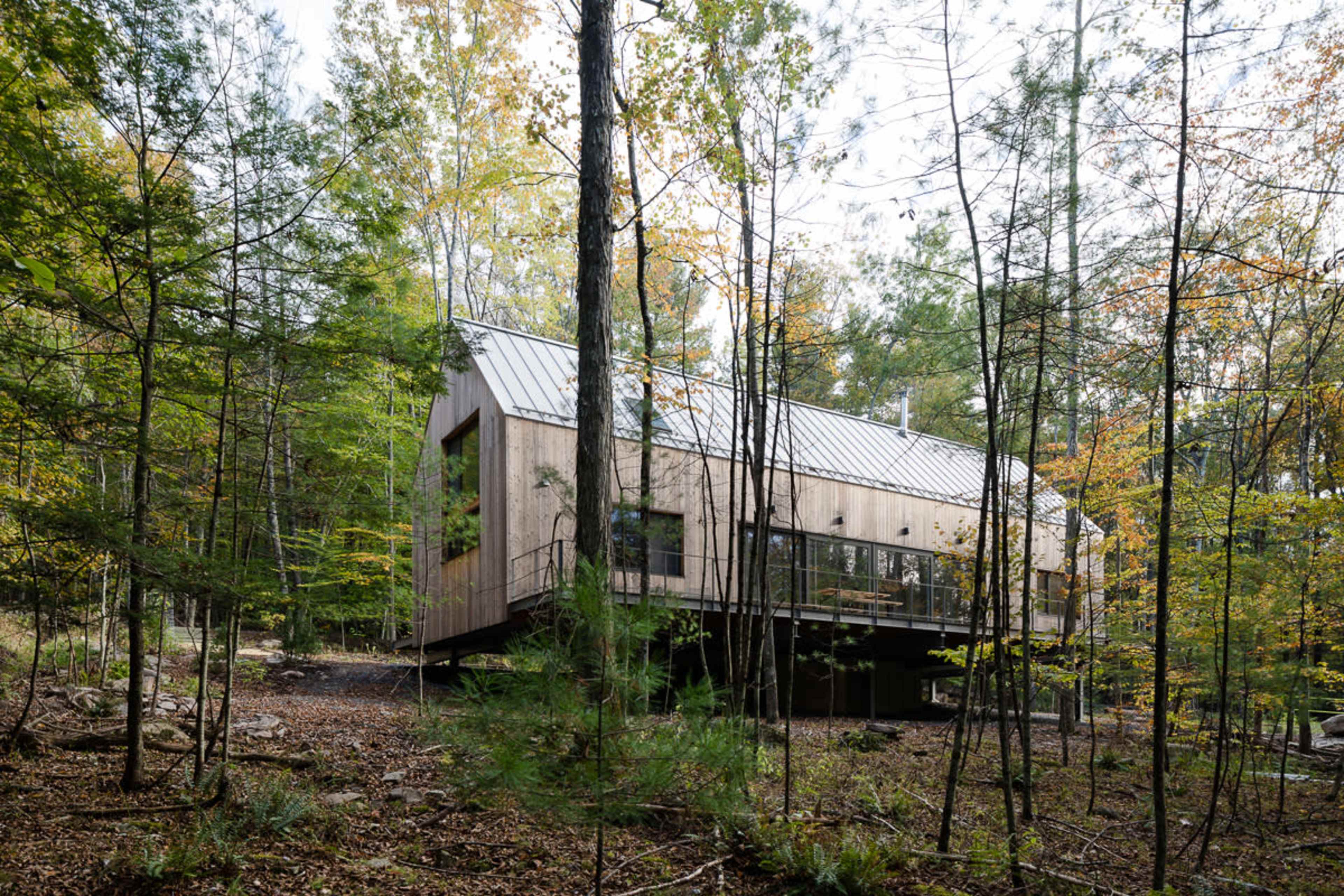 A modern wooden house is elevated on stilts in a forested area surrounded by trees and autumn foliage.