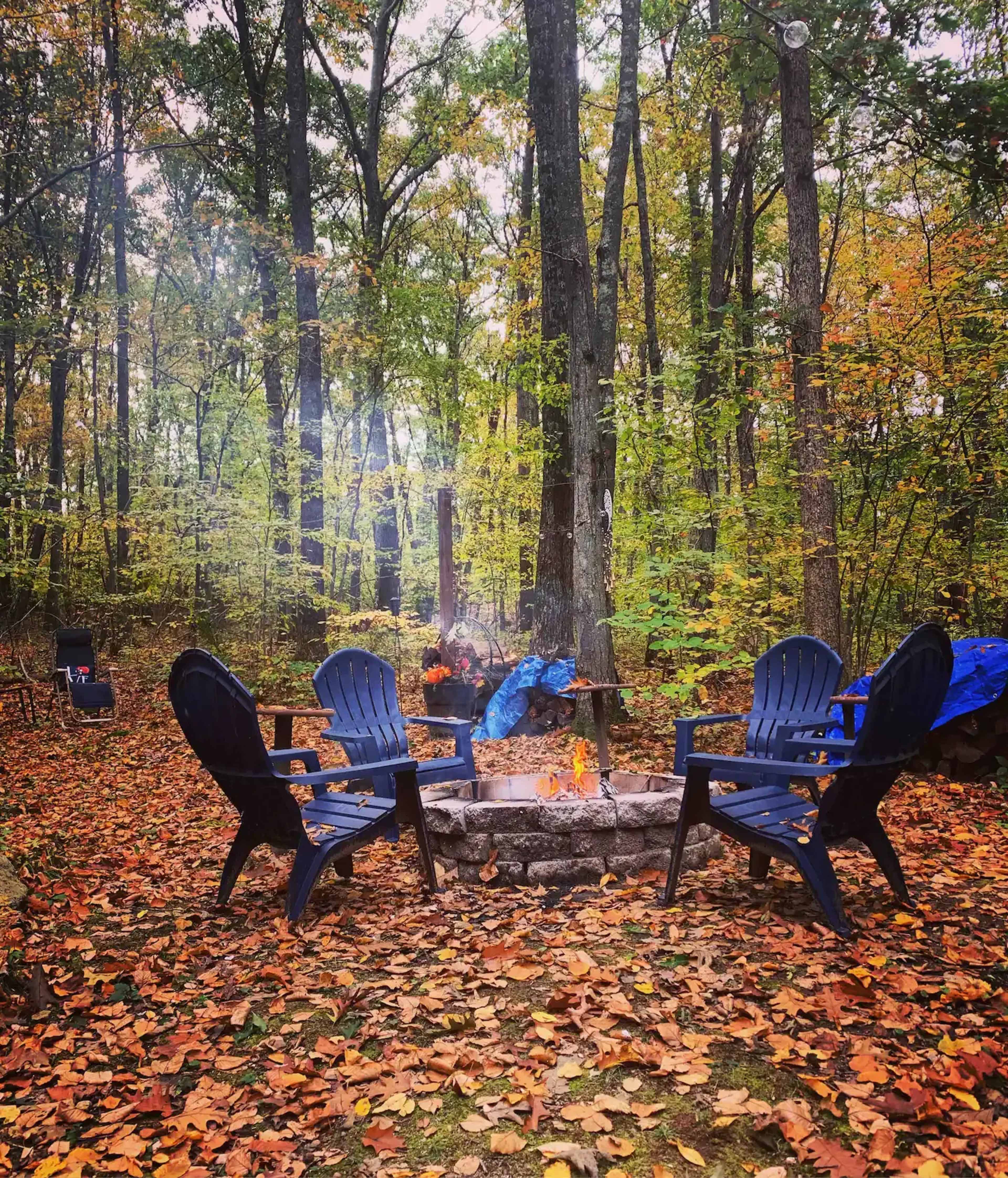A stone fire pit surrounded by four blue chairs is set in a wooded area with autumn foliage covering the ground.