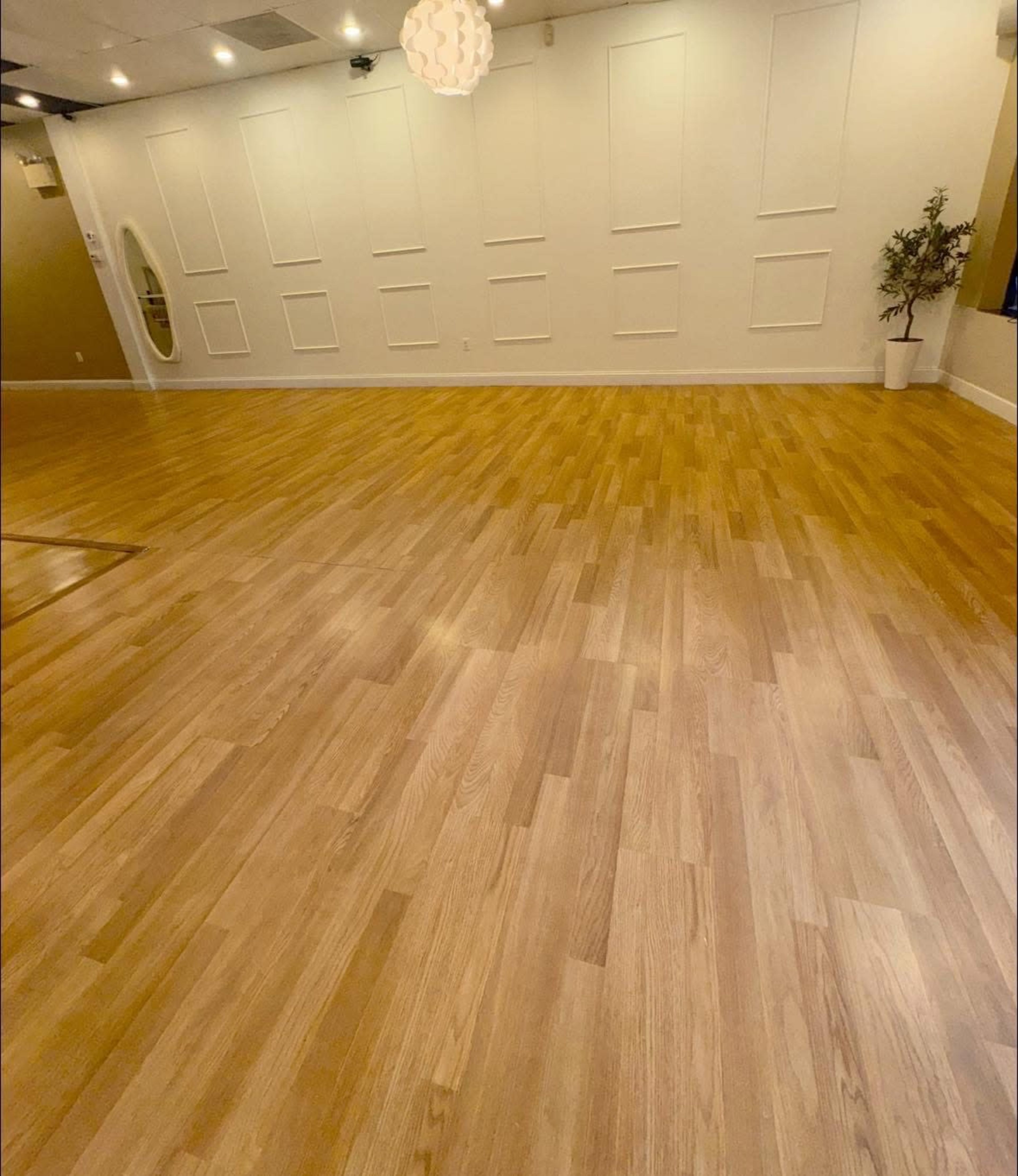The image shows a spacious wooden floor interior with white walls and a potted plant in the corner.