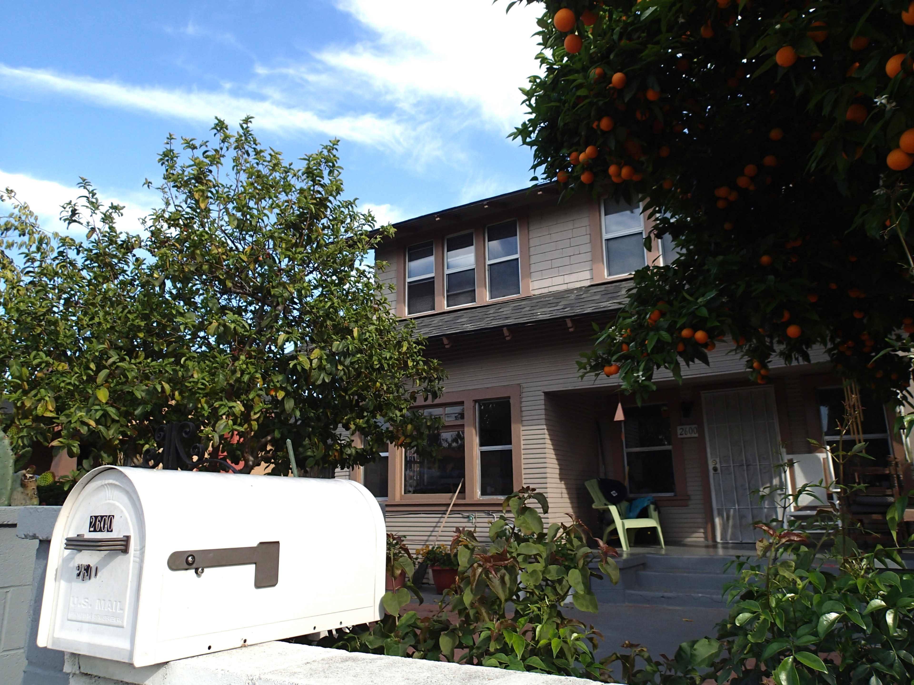 A two-story house with a porch and an orange tree is visible next to a white mailbox.