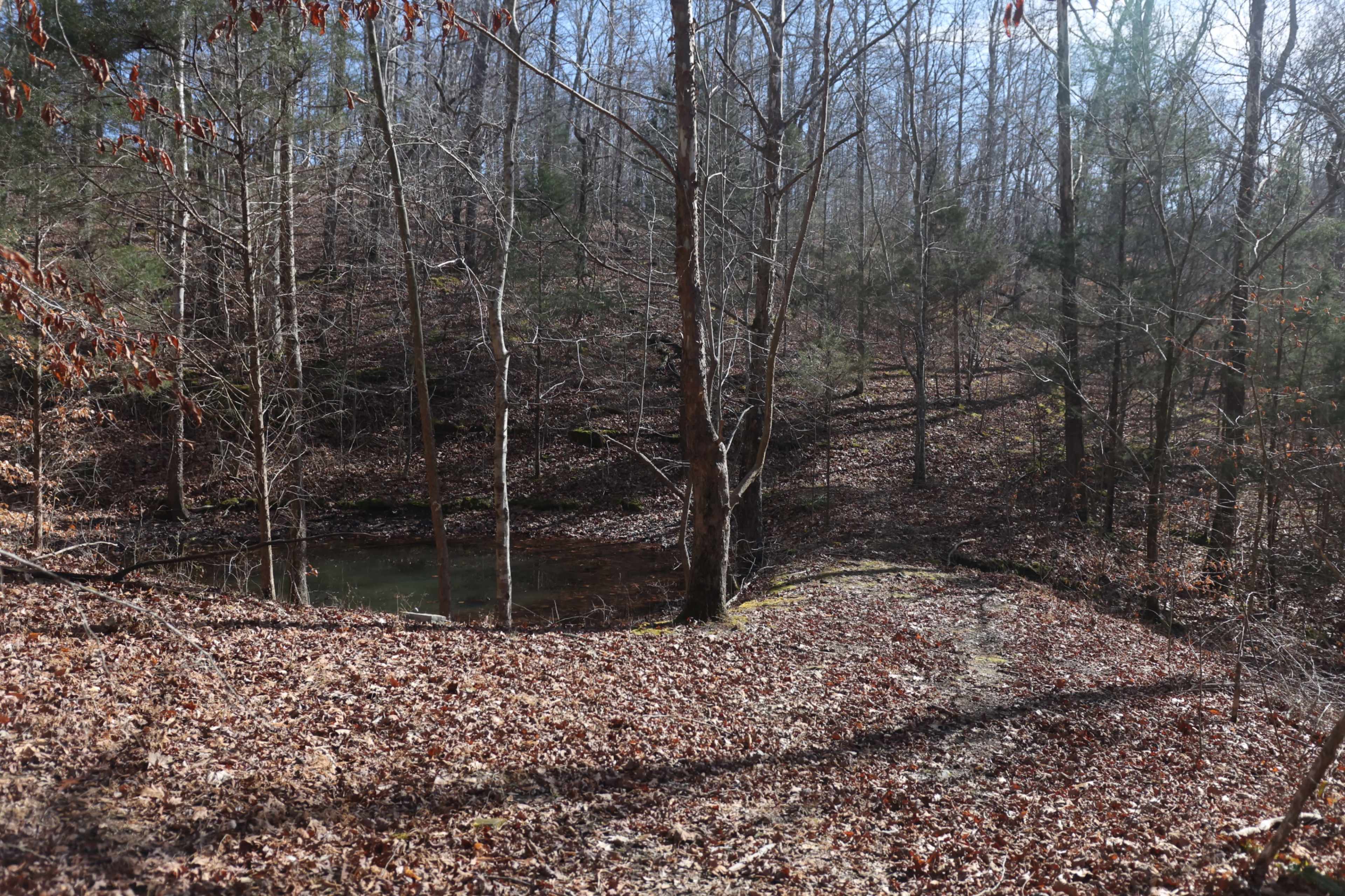 85 Acre Rural Country Property with Barns, Junkyard, etc. Image in , Fairview, TN