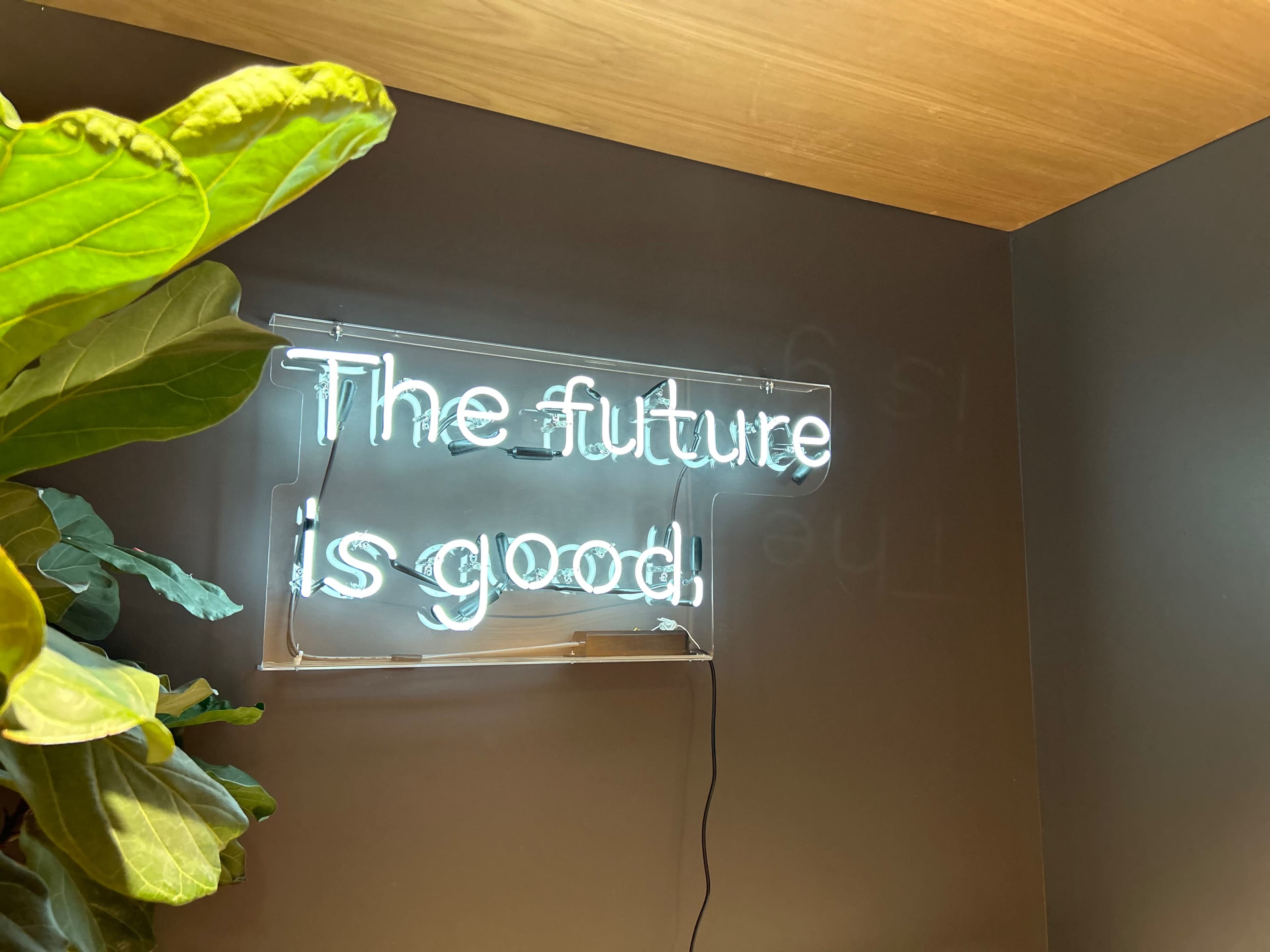 A neon sign displaying the words "The future is good" is illuminated on a wall surrounded by a large leafy plant.