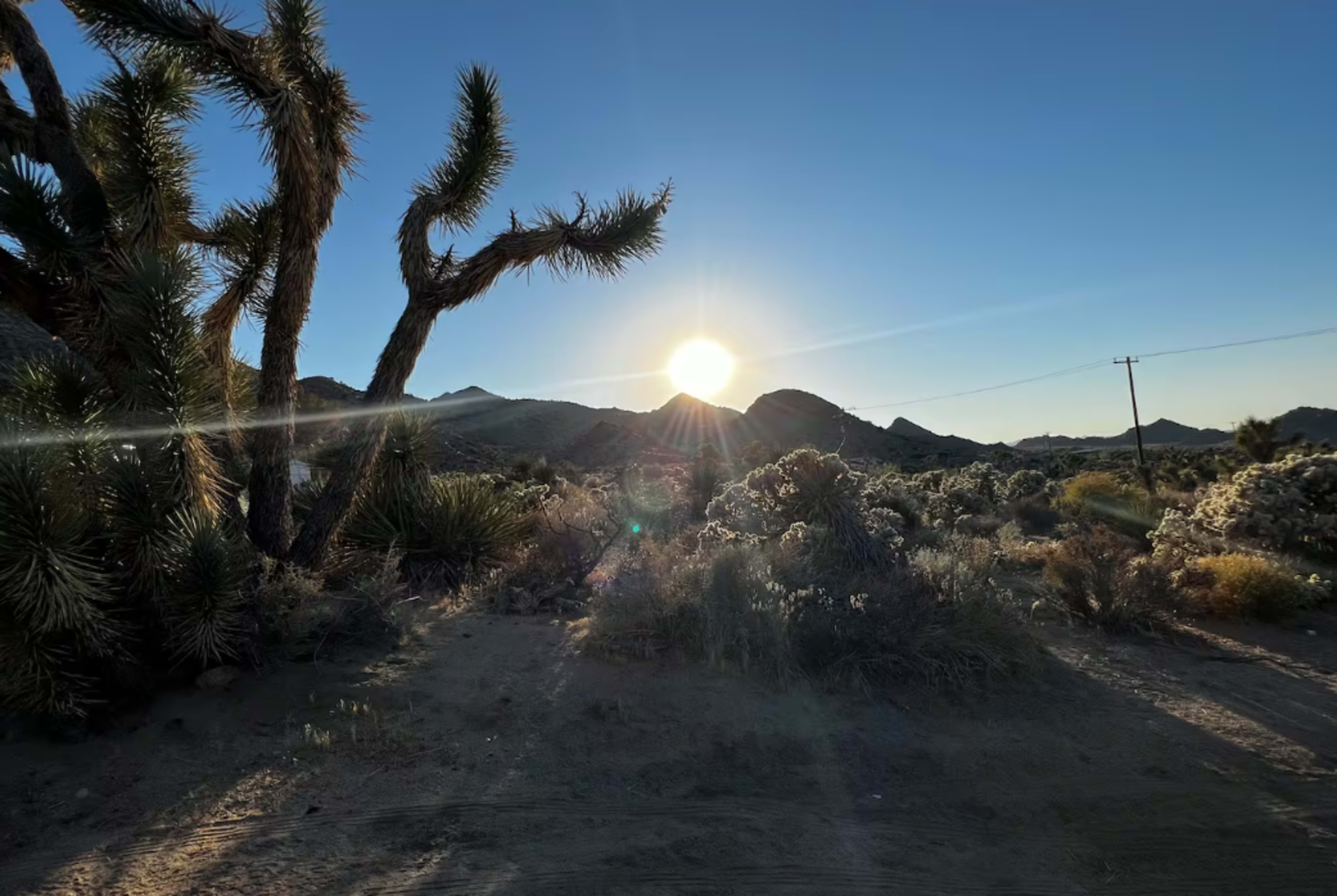 The Big Dome | Geodesic Jewel Image in Joshua Tree, Joshua Tree, CA